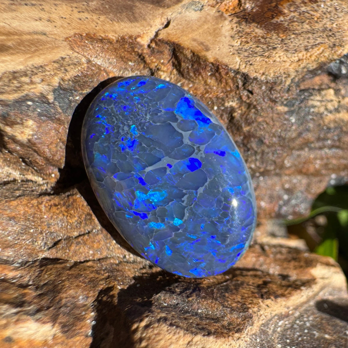 4.1ct Lightning Ridge Black Opal | Solid Australian Opal | Hand-Cut