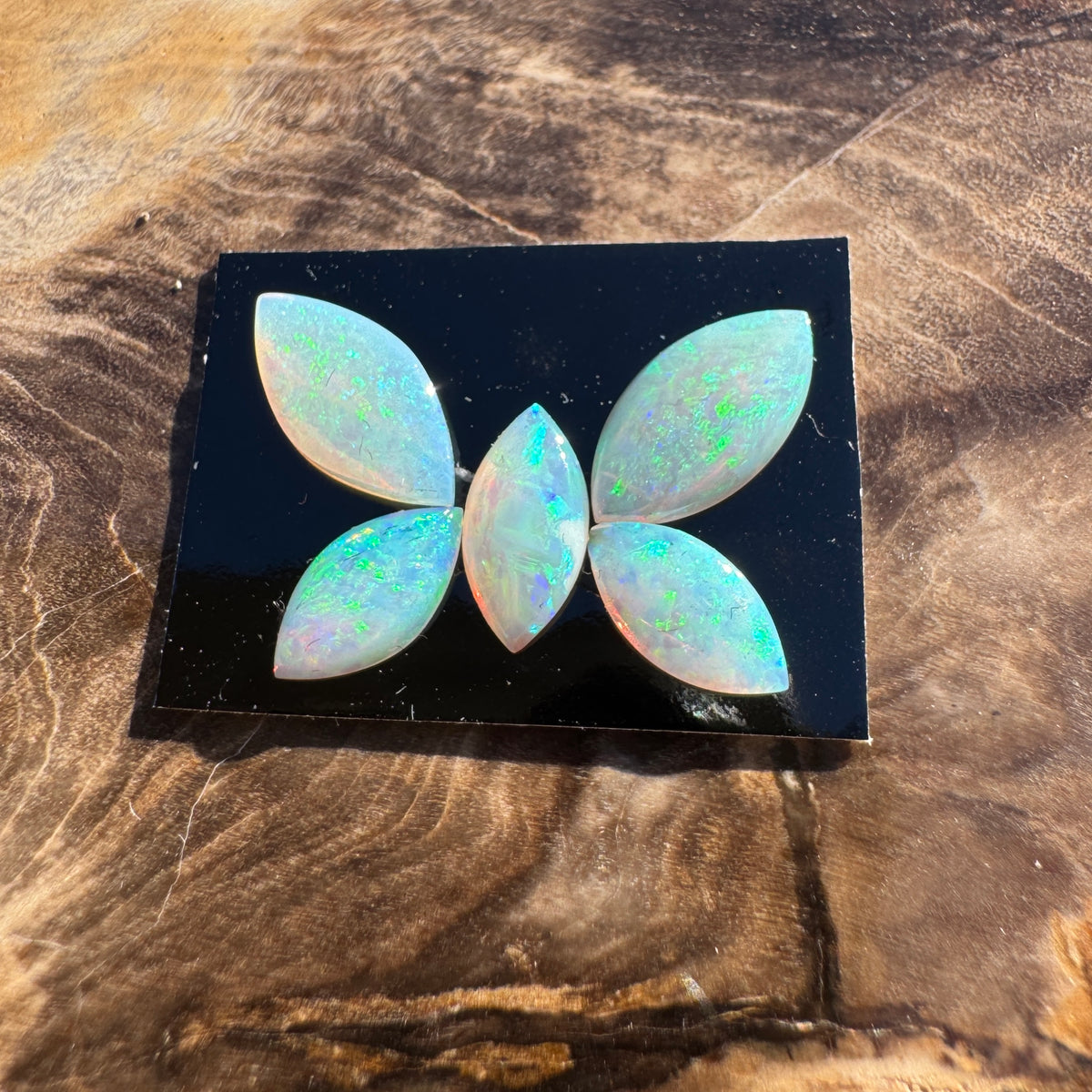 1.8ct Parcel Coober Pedy Opal Butterfly Set | Solid Australian Opal | Hand-Cut