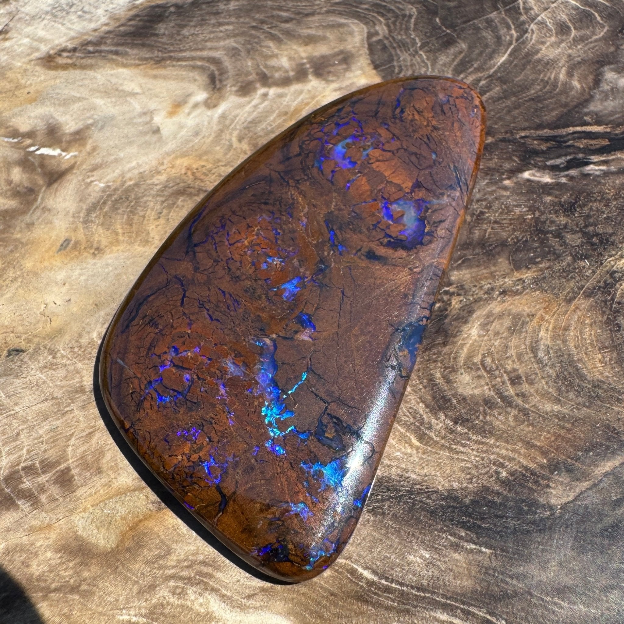 48.3ct Solid Queensland Boulder Opal