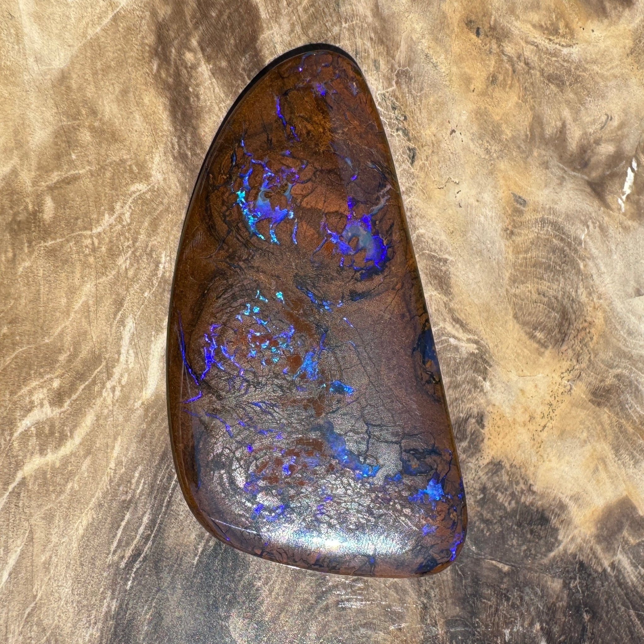 48.3ct Solid Queensland Boulder Opal