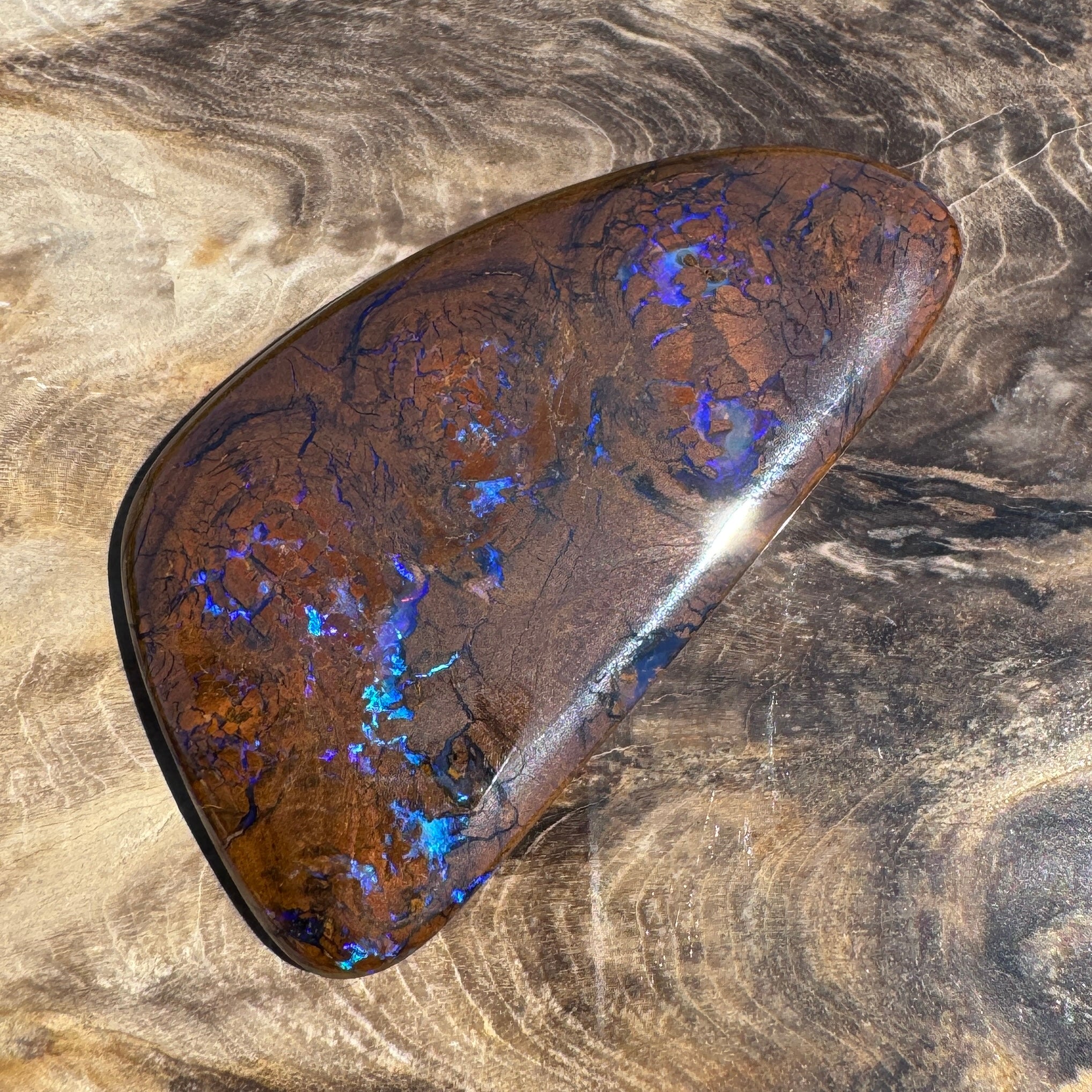 48.3ct Solid Queensland Boulder Opal