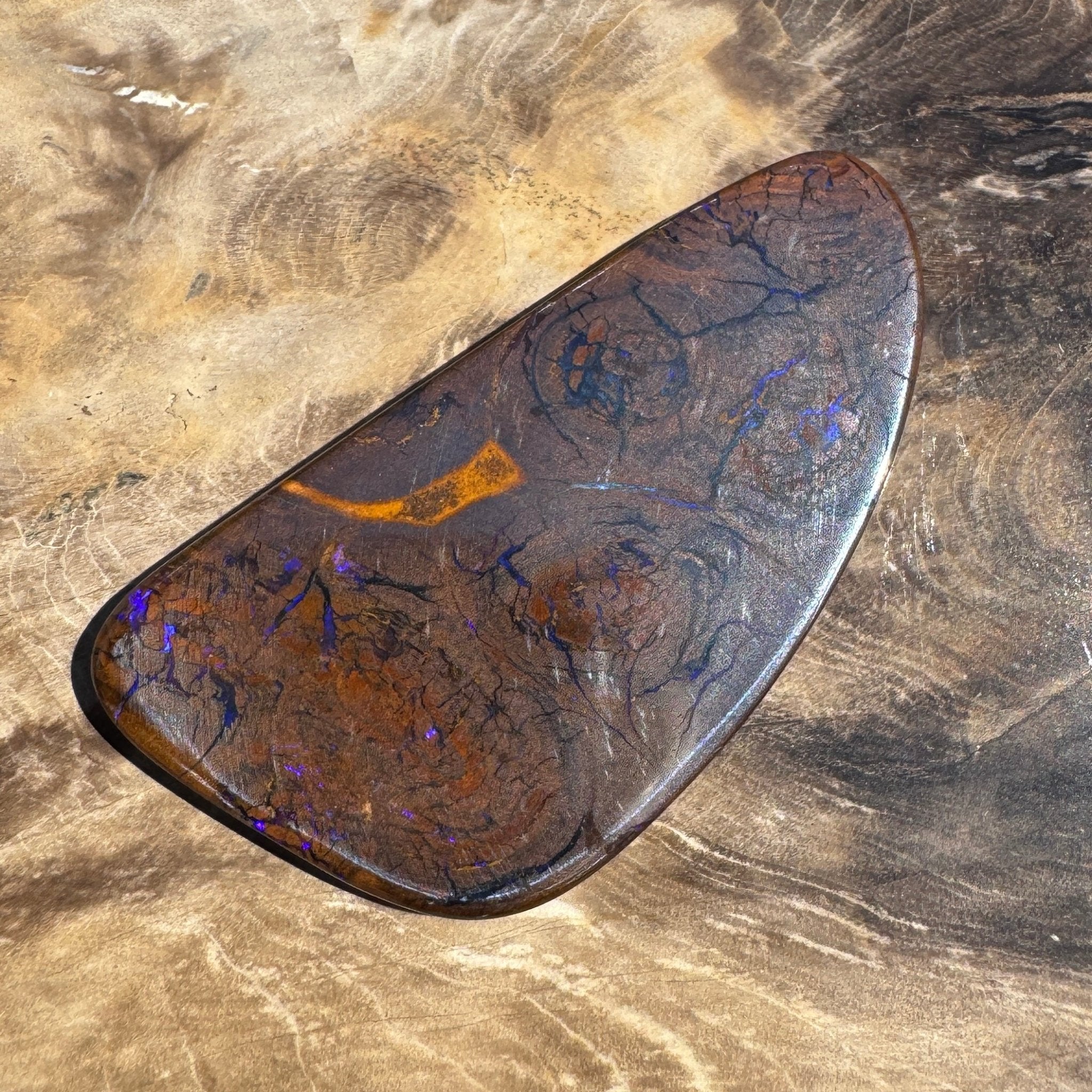 48.3ct Solid Queensland Boulder Opal