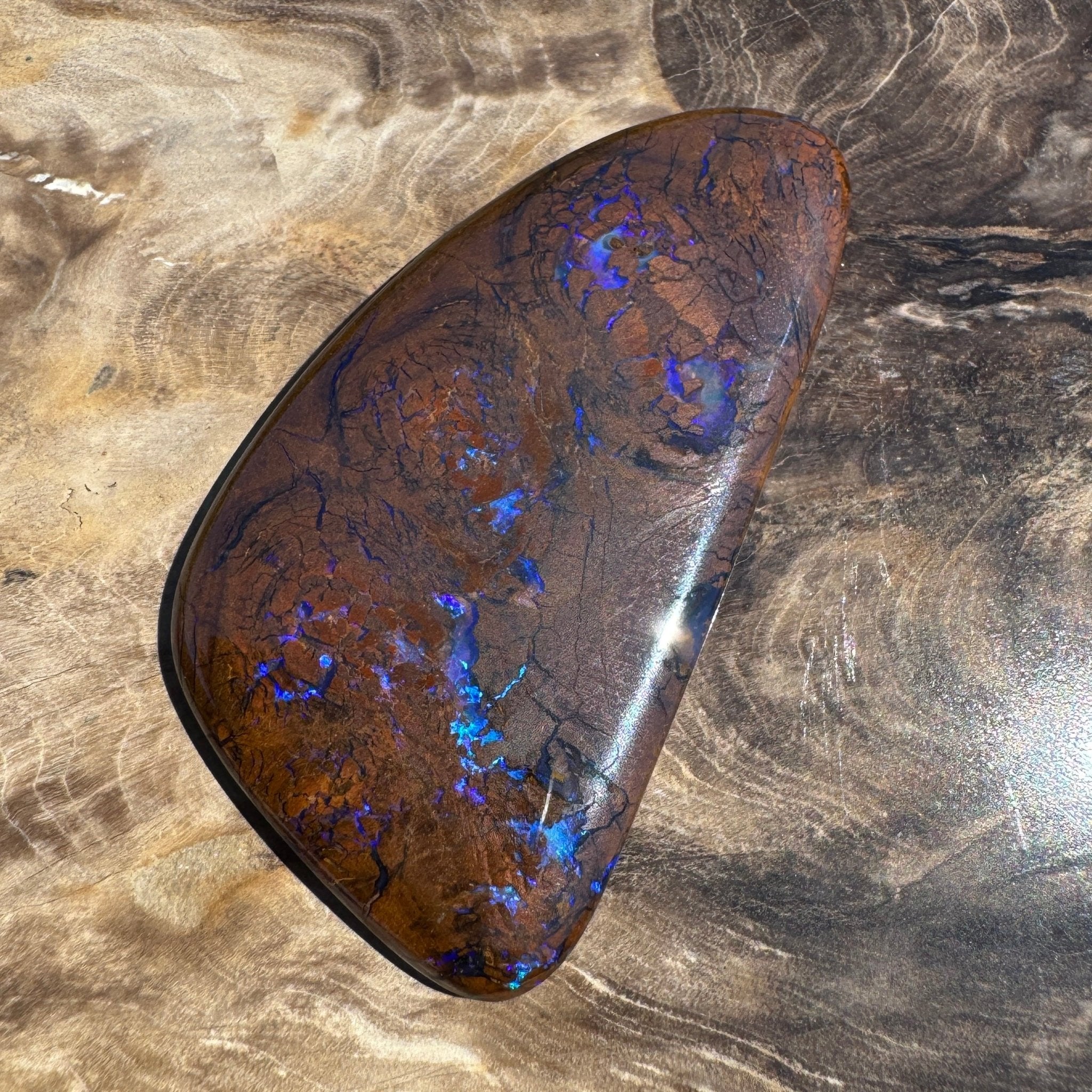 48.3ct Solid Queensland Boulder Opal
