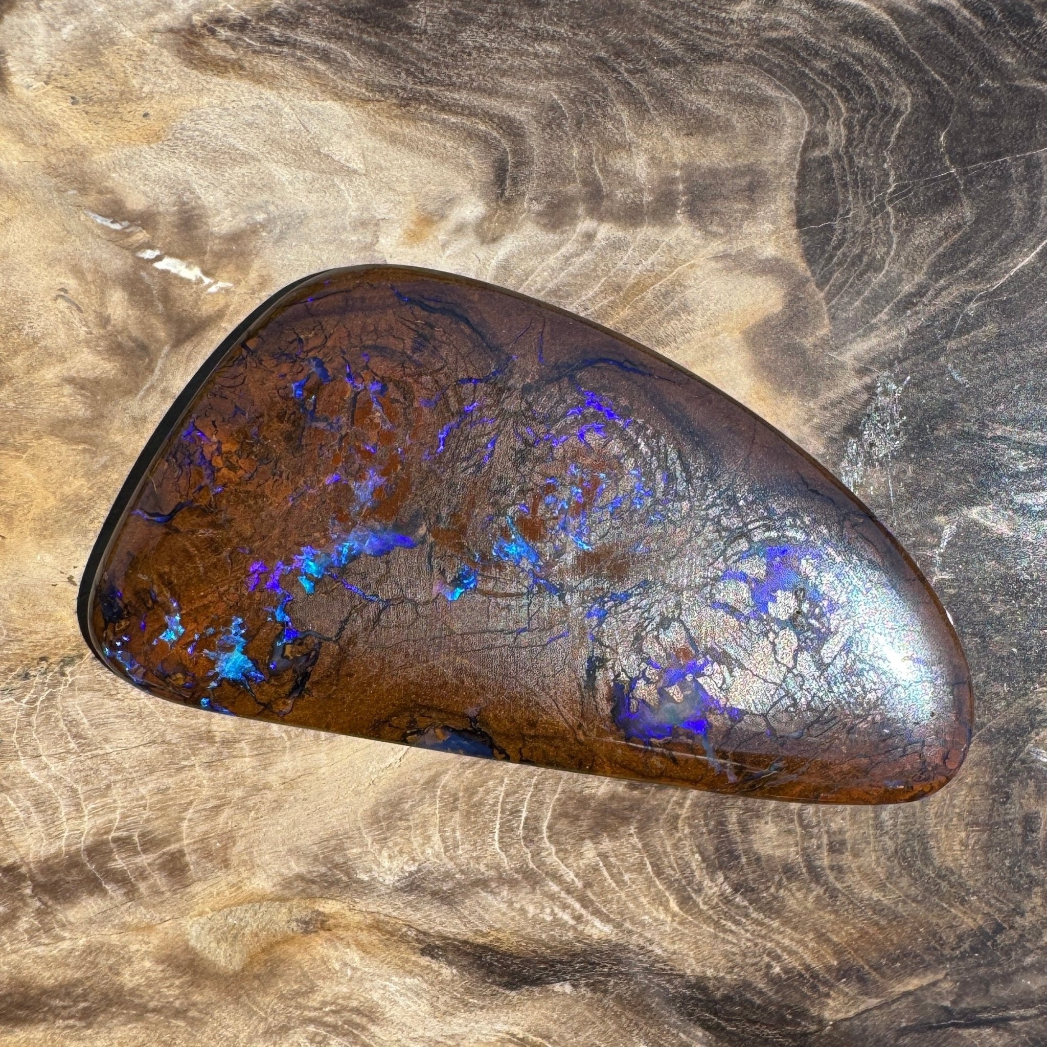 48.3ct Solid Queensland Boulder Opal