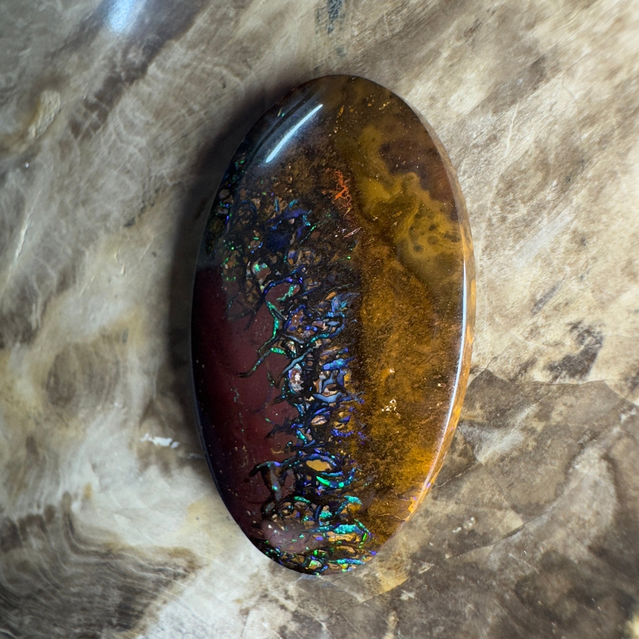 49.7ct Solid Queensland Boulder Opal