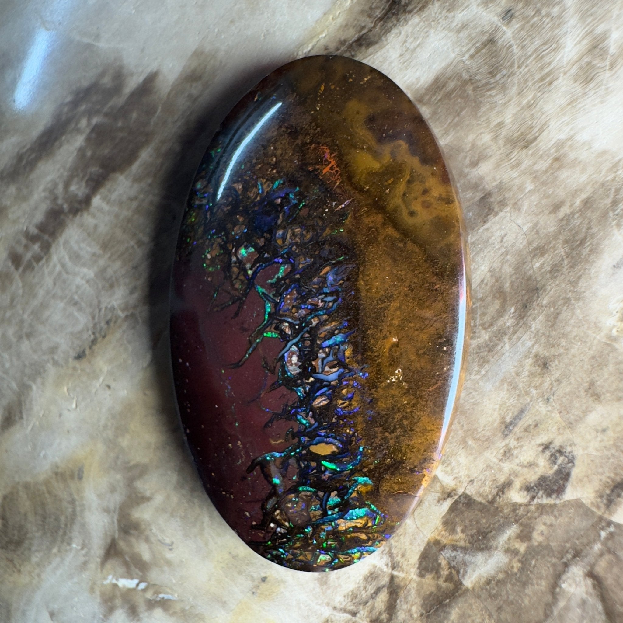 49.7ct Solid Queensland Boulder Opal
