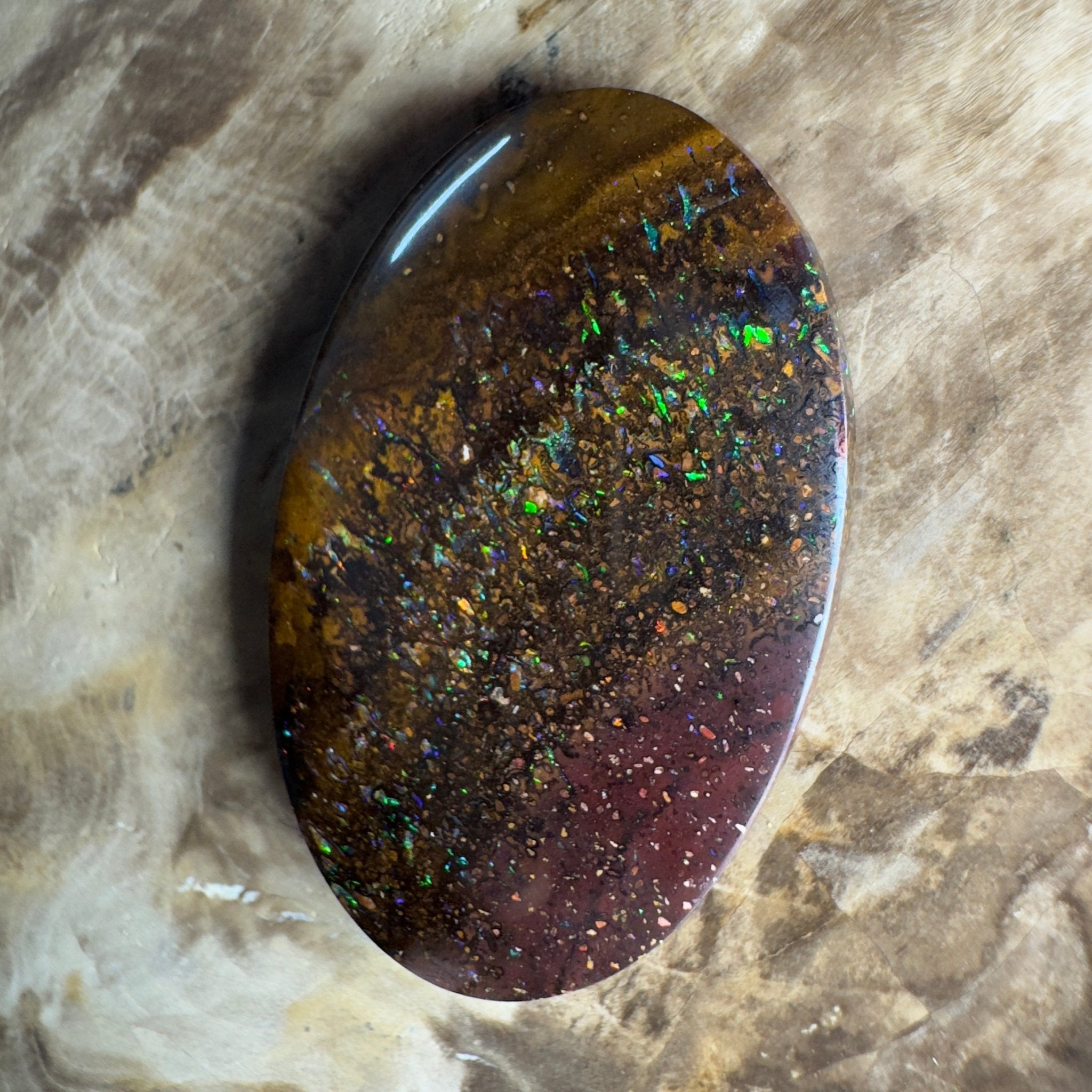 49.7ct Solid Queensland Boulder Opal