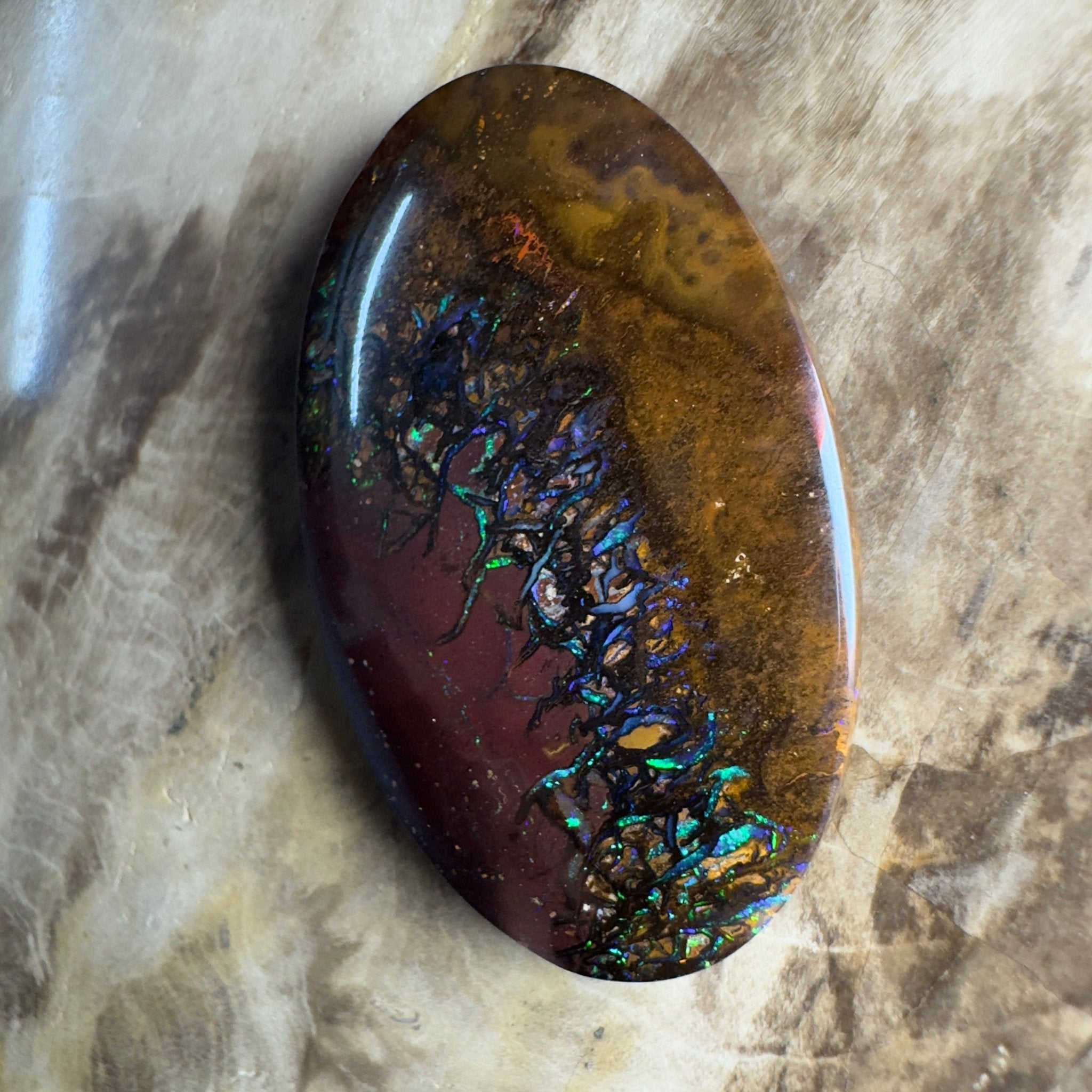 49.7ct Solid Queensland Boulder Opal