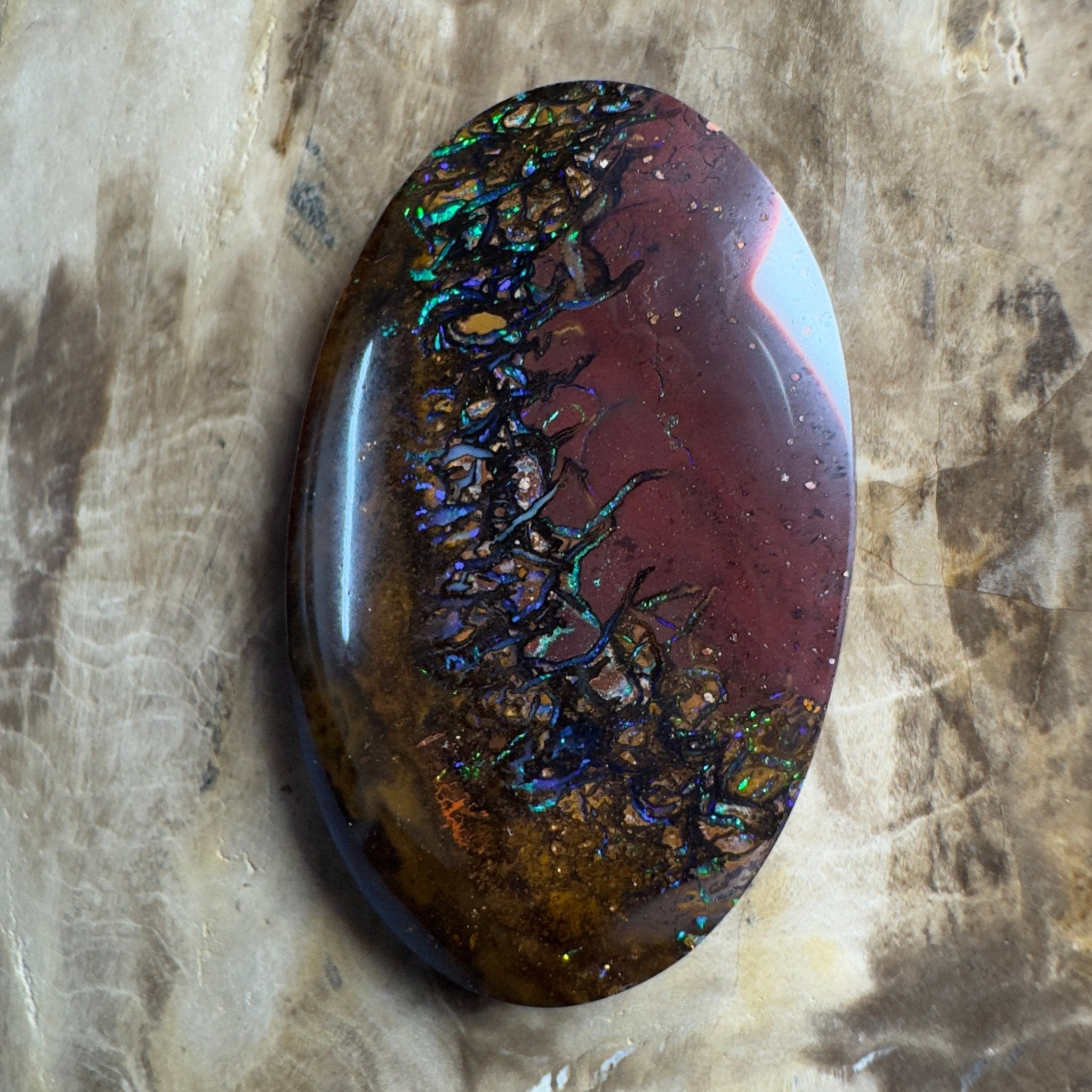 49.7ct Solid Queensland Boulder Opal