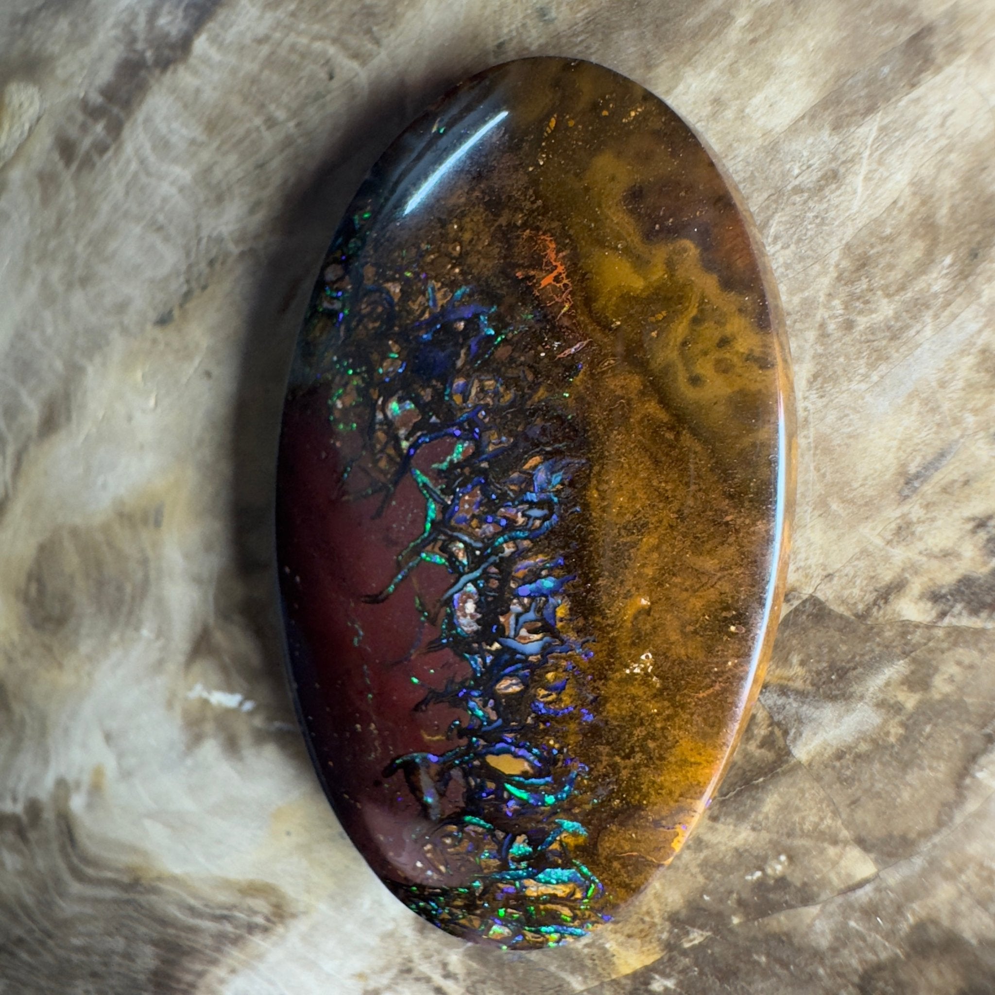 49.7ct Solid Queensland Boulder Opal
