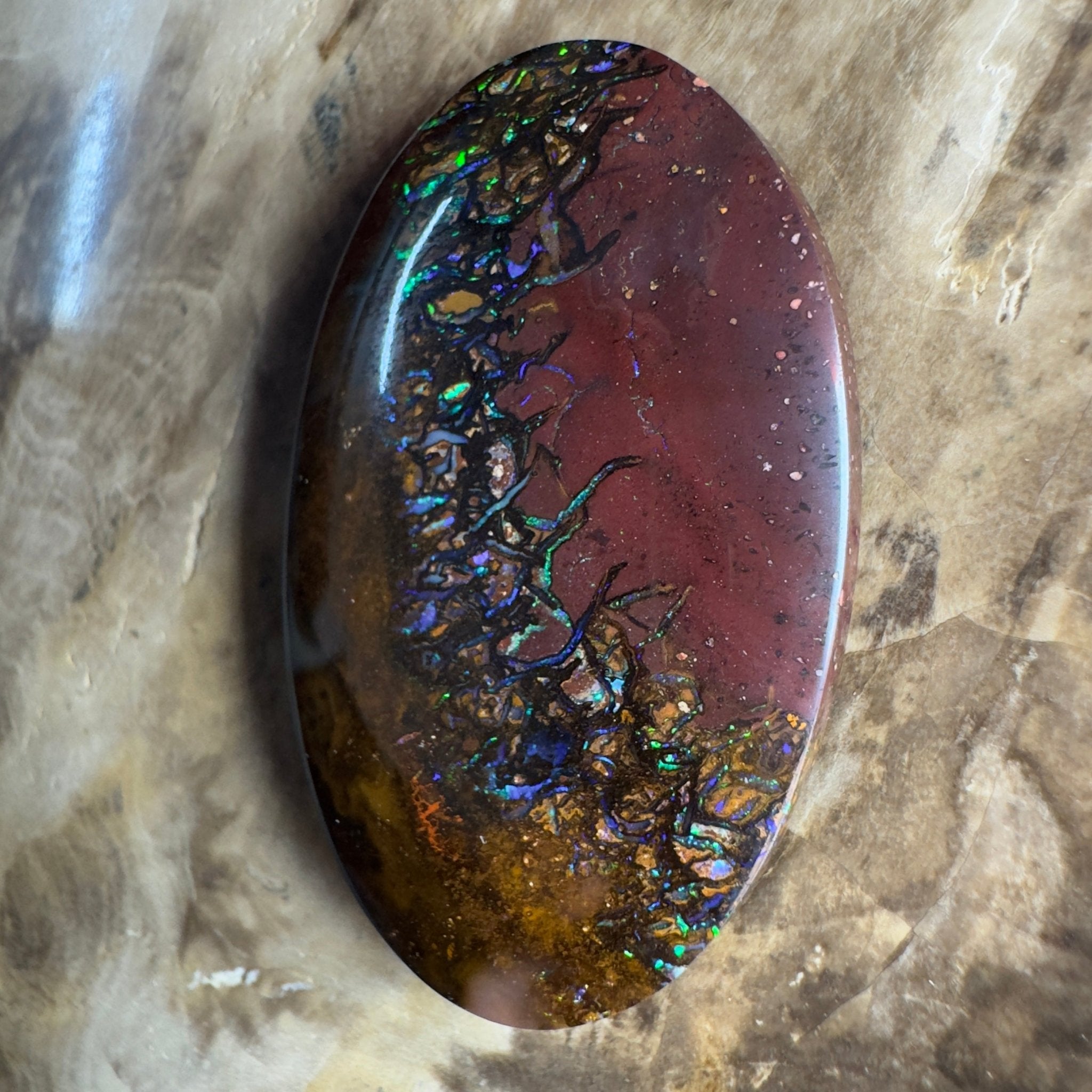 49.7ct Solid Queensland Boulder Opal