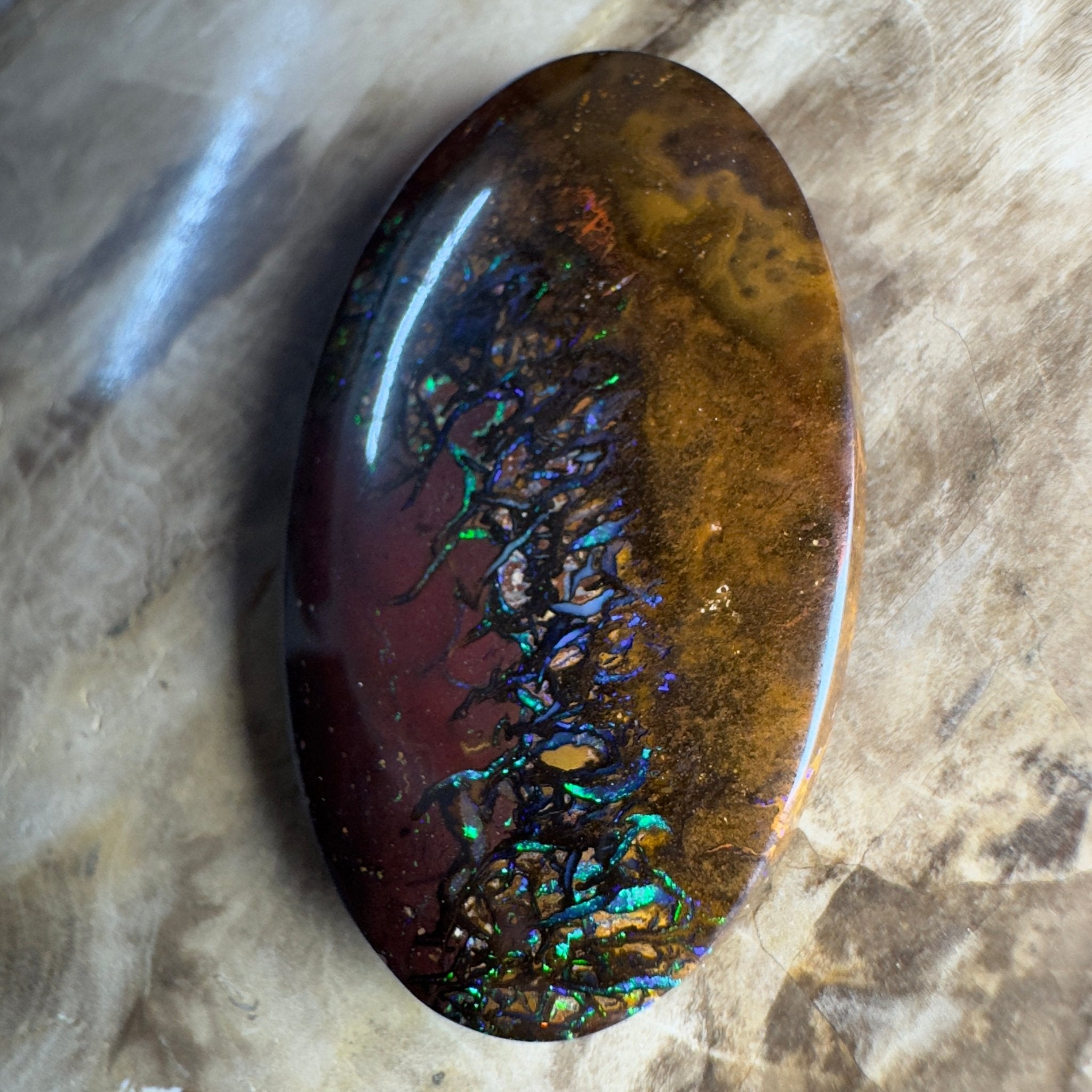 49.7ct Solid Queensland Boulder Opal