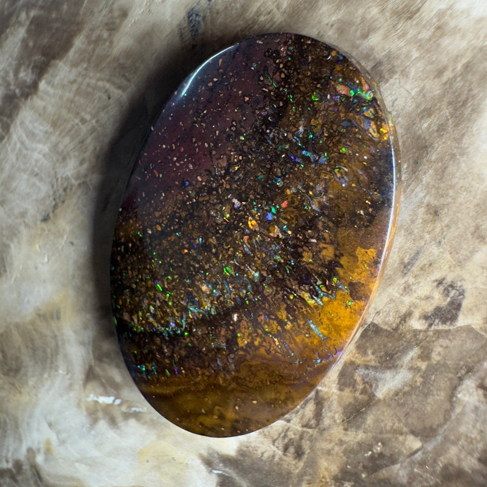49.7ct Solid Queensland Boulder Opal