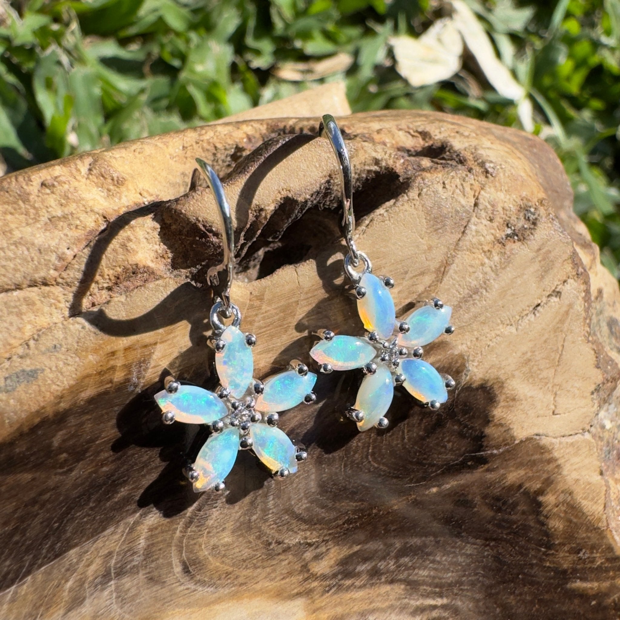 4ct Coober Pedy Opal Hook Earrings ~ 'Coral Coast Sway' | 925 Sterling Silver | Solid Australian Opal