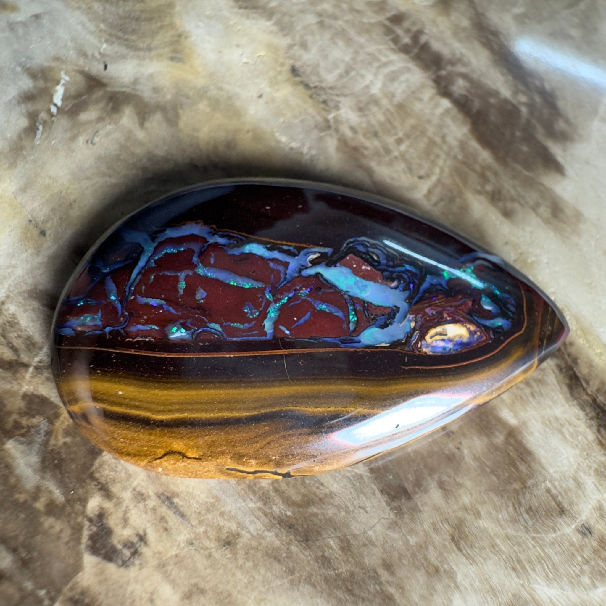 54.3ct Solid Queensland Boulder Opal