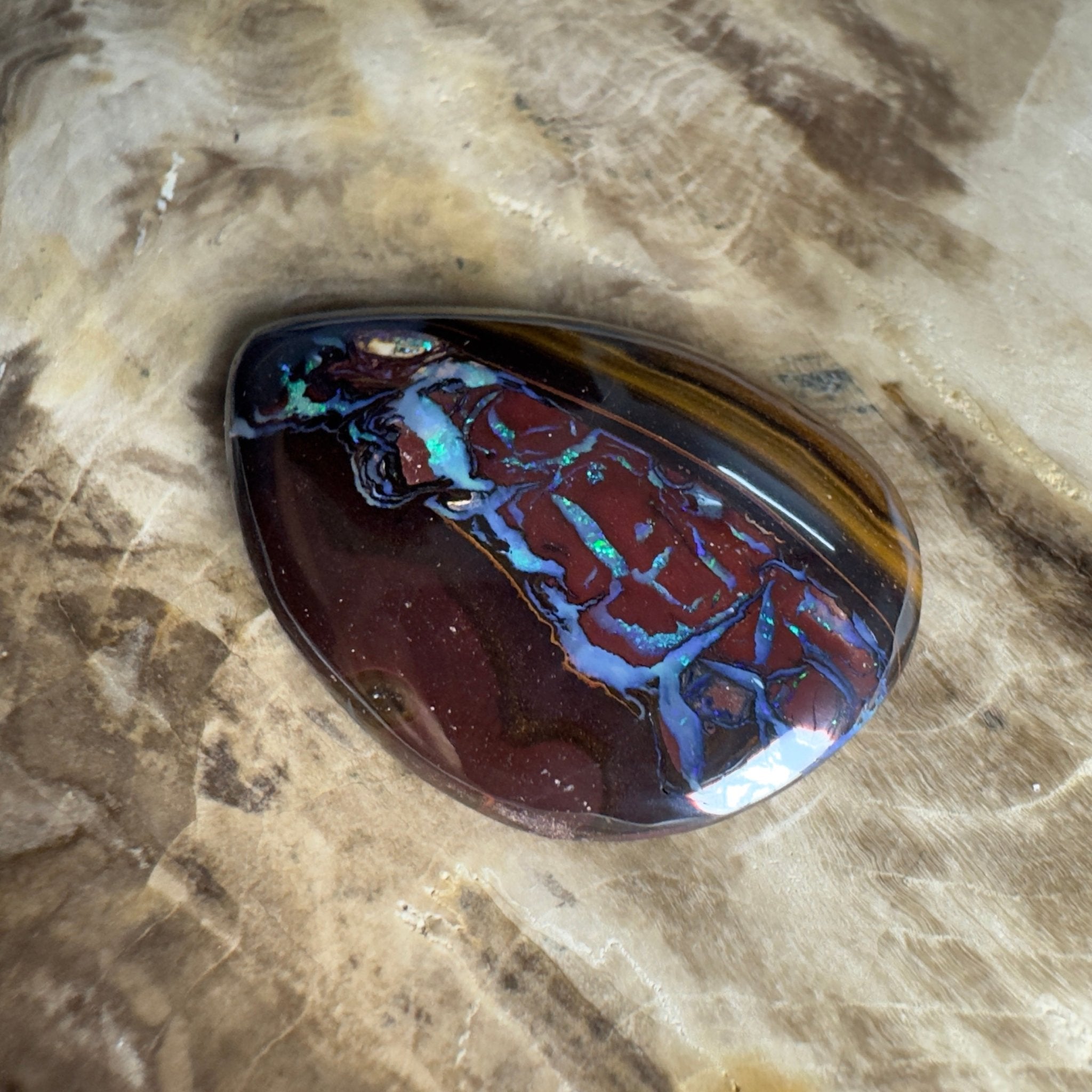 54.3ct Solid Queensland Boulder Opal