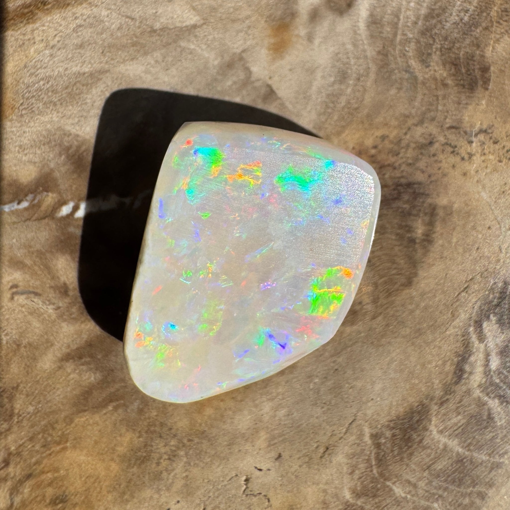 5.6ct Coober Pedy Opal | Belemnite Fossil | Solid Australian Opal | Hand-Cut
