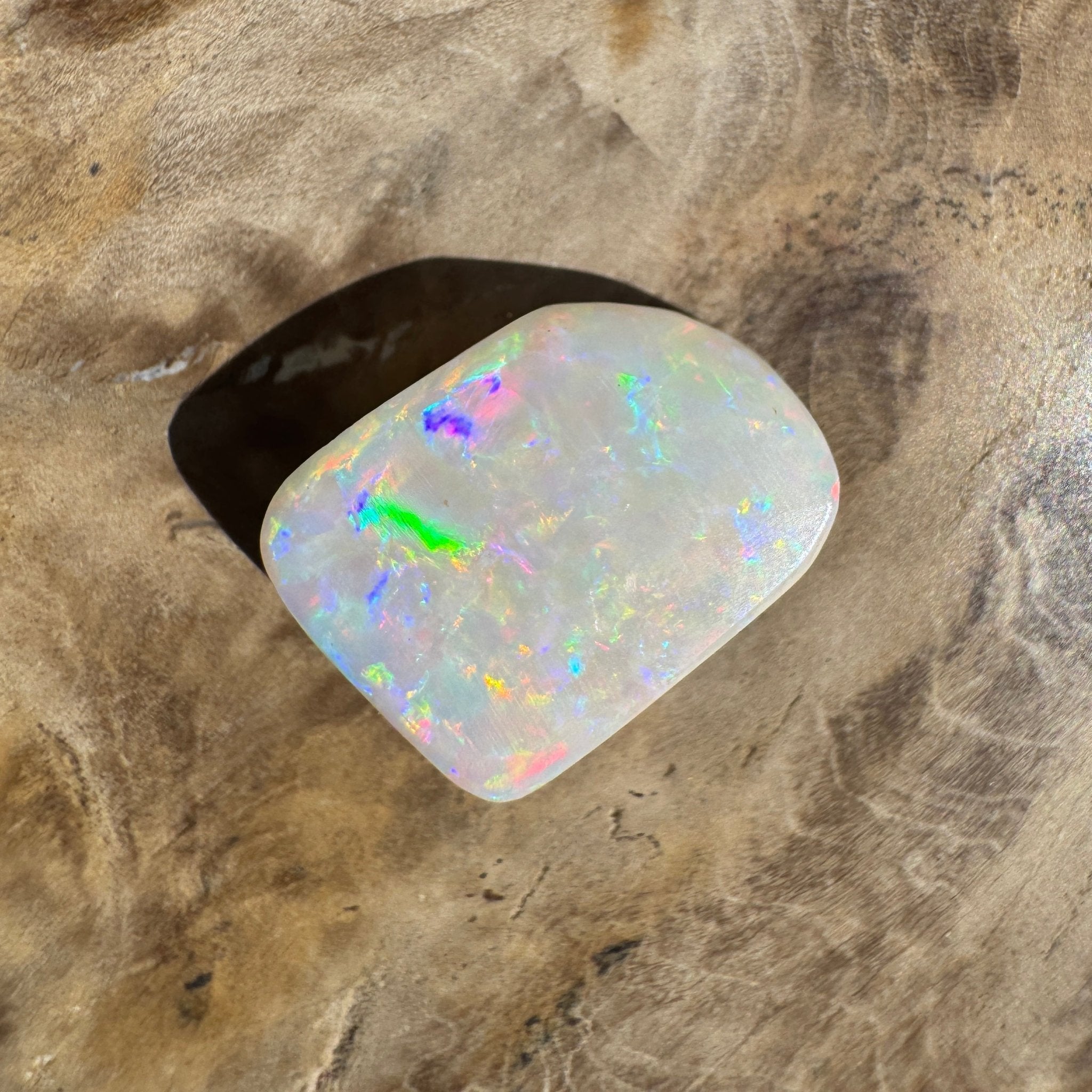 5.6ct Coober Pedy Opal | Belemnite Fossil | Solid Australian Opal | Hand-Cut