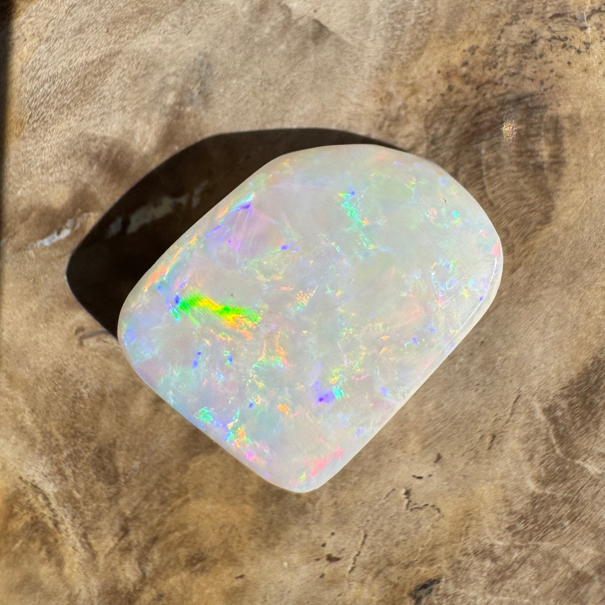 5.6ct Coober Pedy Opal | Belemnite Fossil | Solid Australian Opal | Hand-Cut