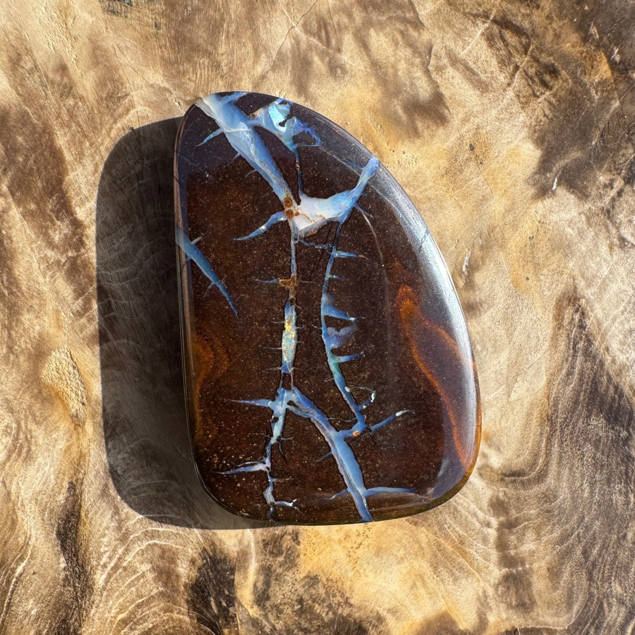 62.4ct Queensland Boulder Opal