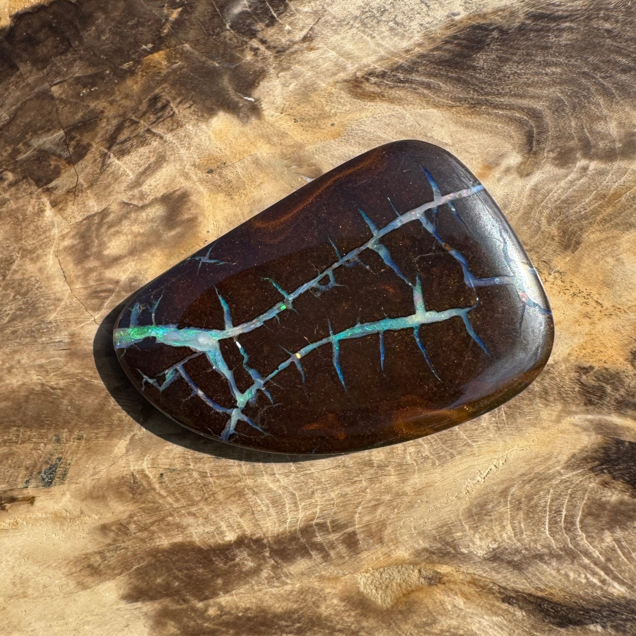 62.4ct Queensland Boulder Opal