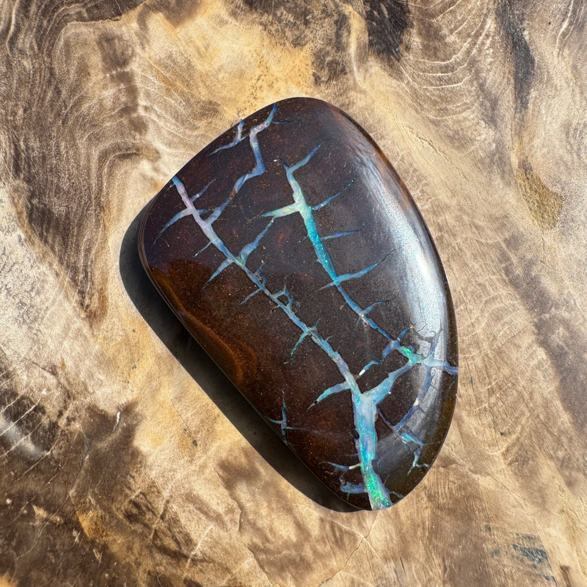 62.4ct Queensland Boulder Opal