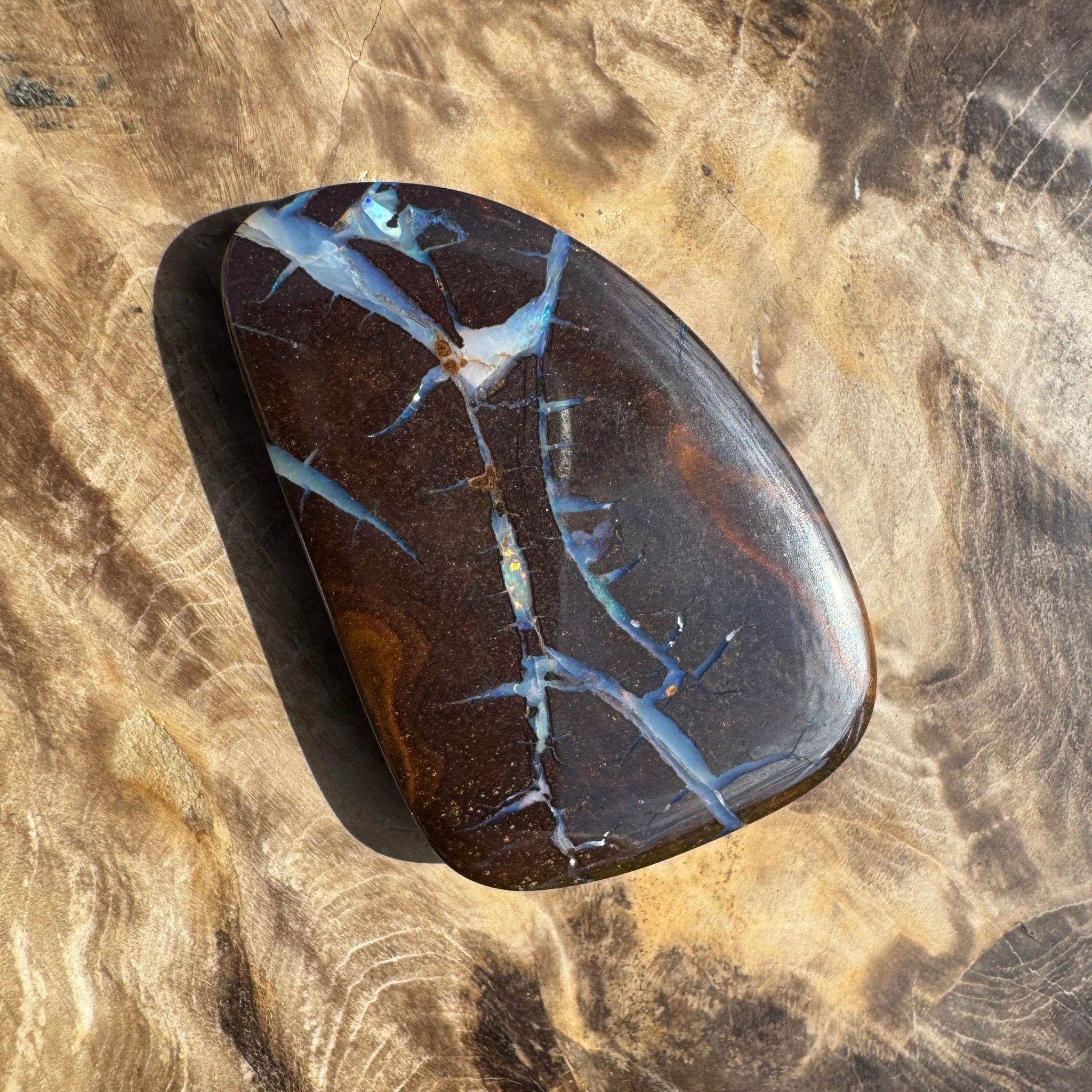 62.4ct Queensland Boulder Opal