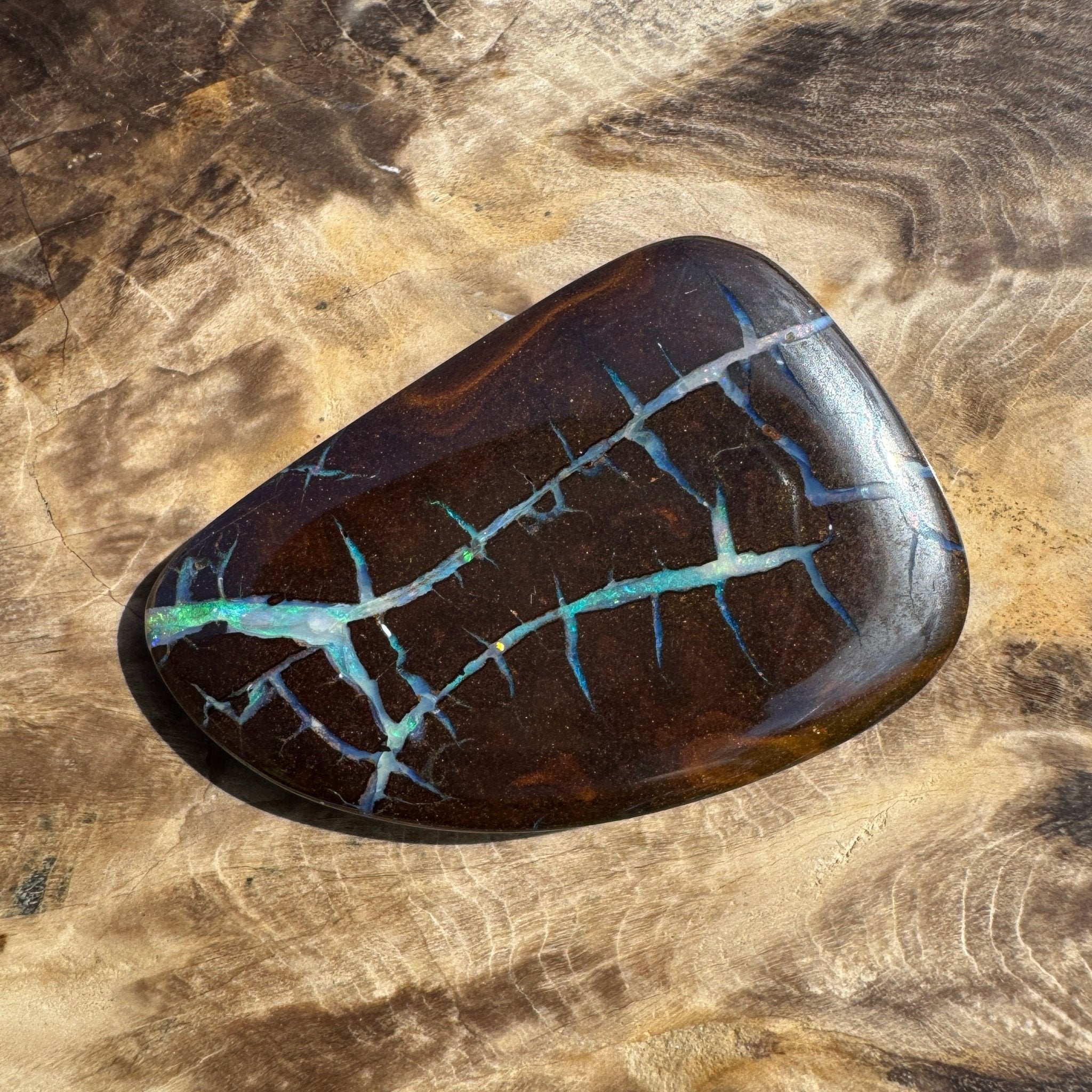 62.4ct Queensland Boulder Opal