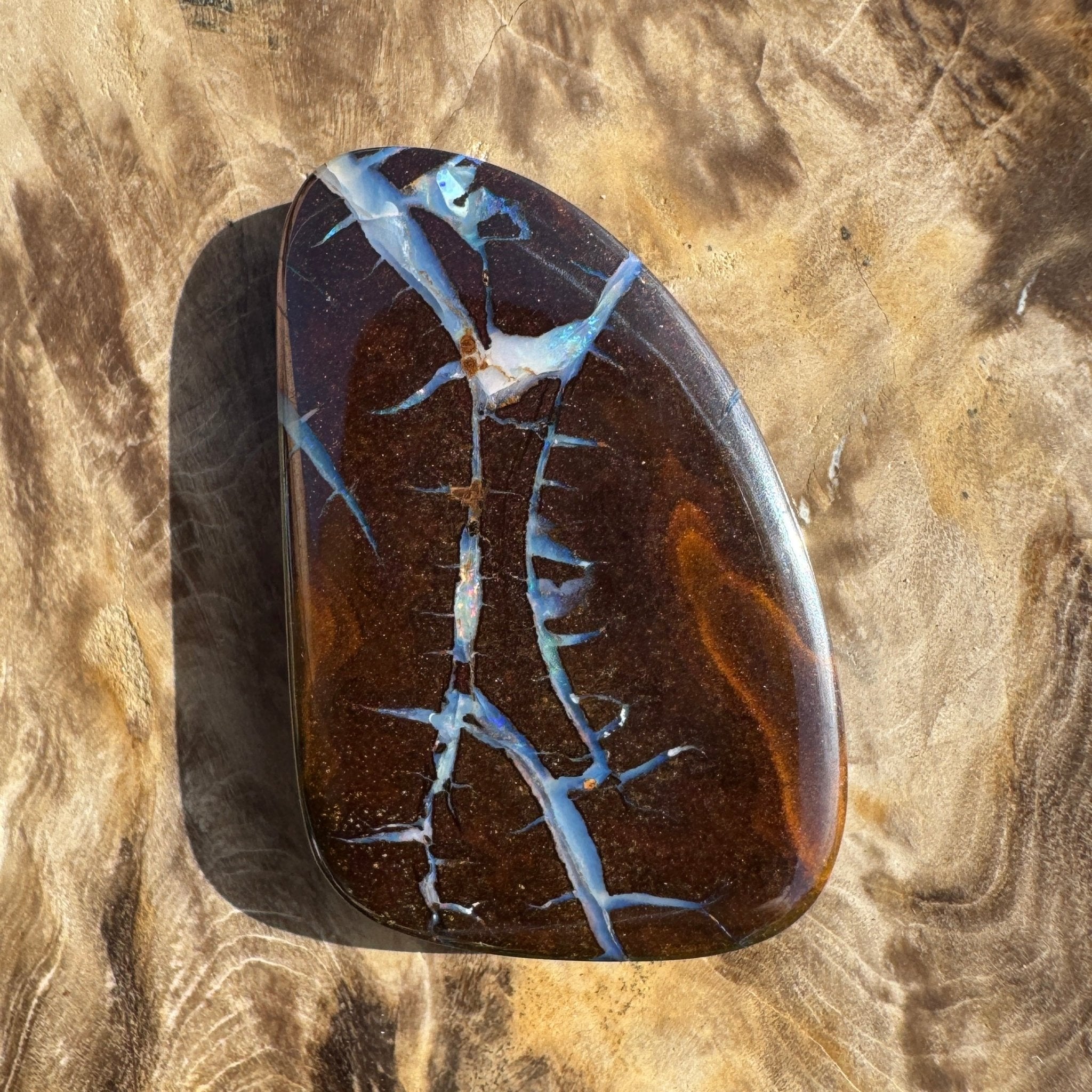 62.4ct Queensland Boulder Opal