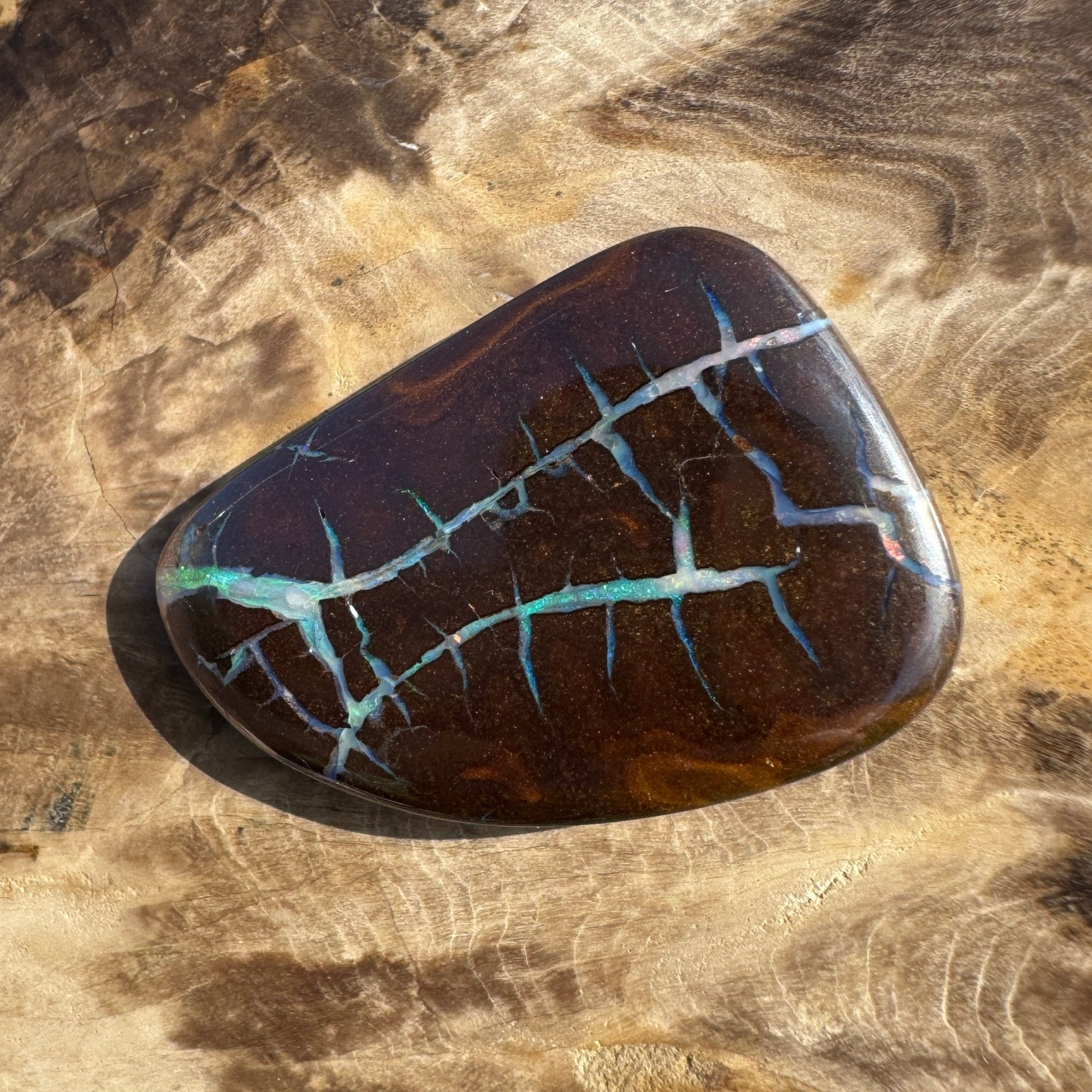 62.4ct Queensland Boulder Opal