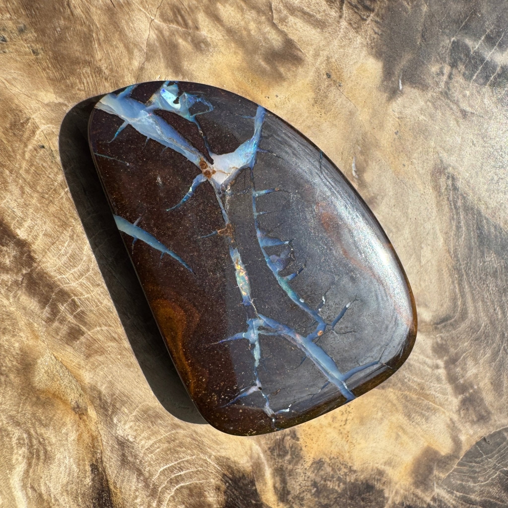 62.4ct Queensland Boulder Opal