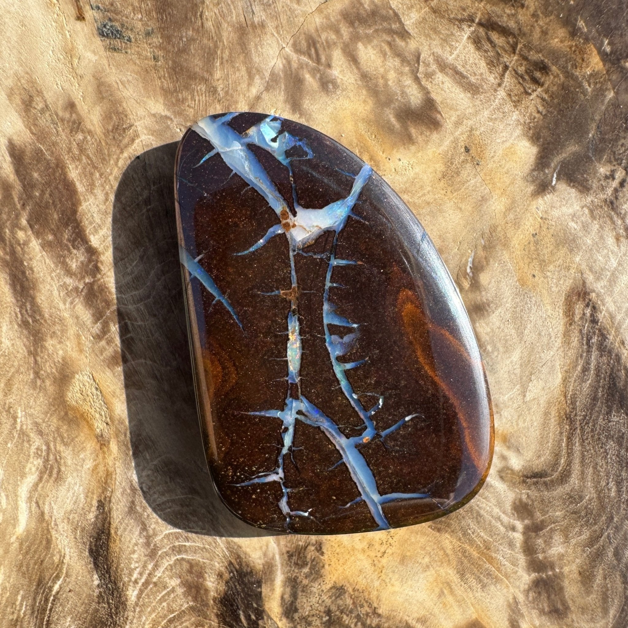 62.4ct Queensland Boulder Opal