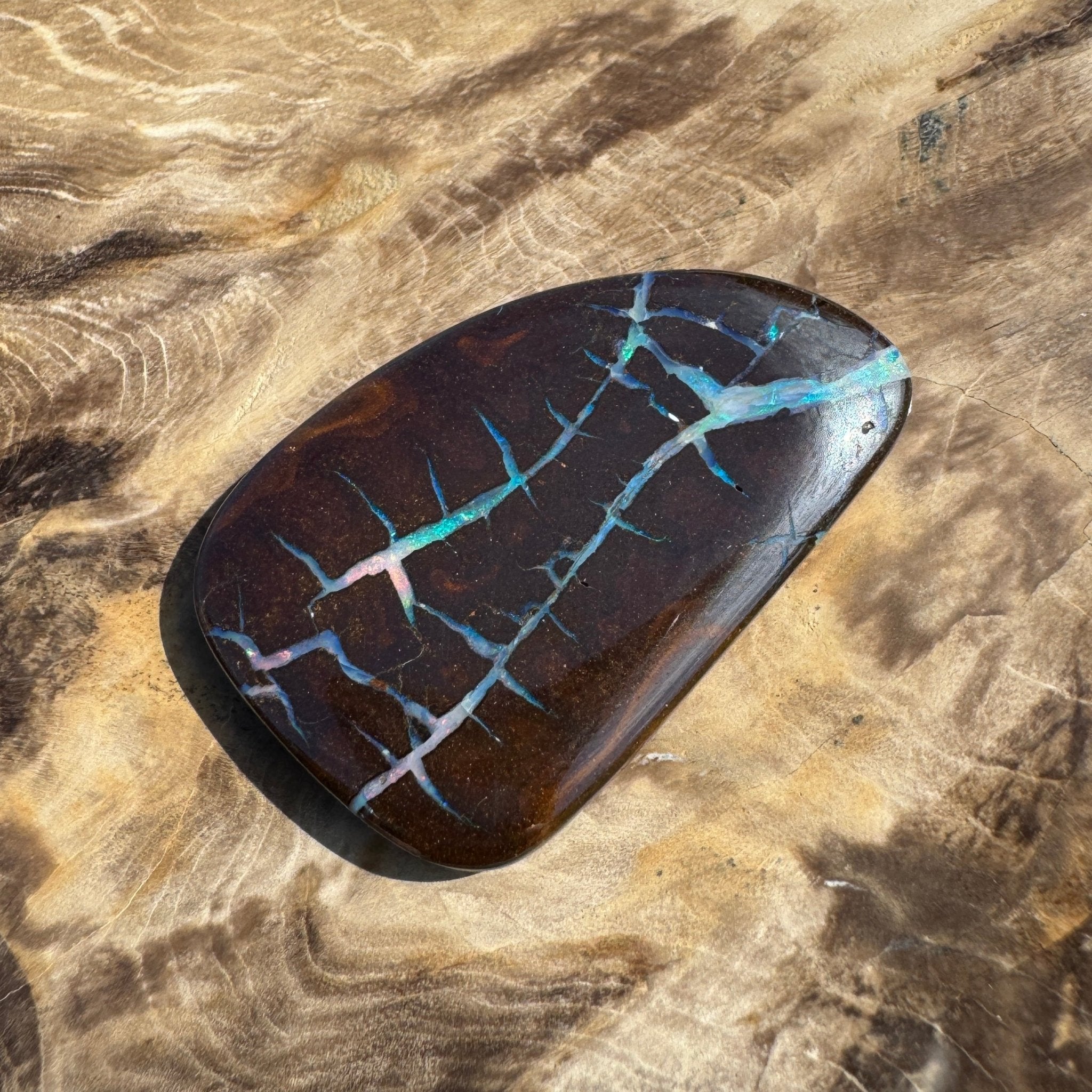 62.4ct Queensland Boulder Opal