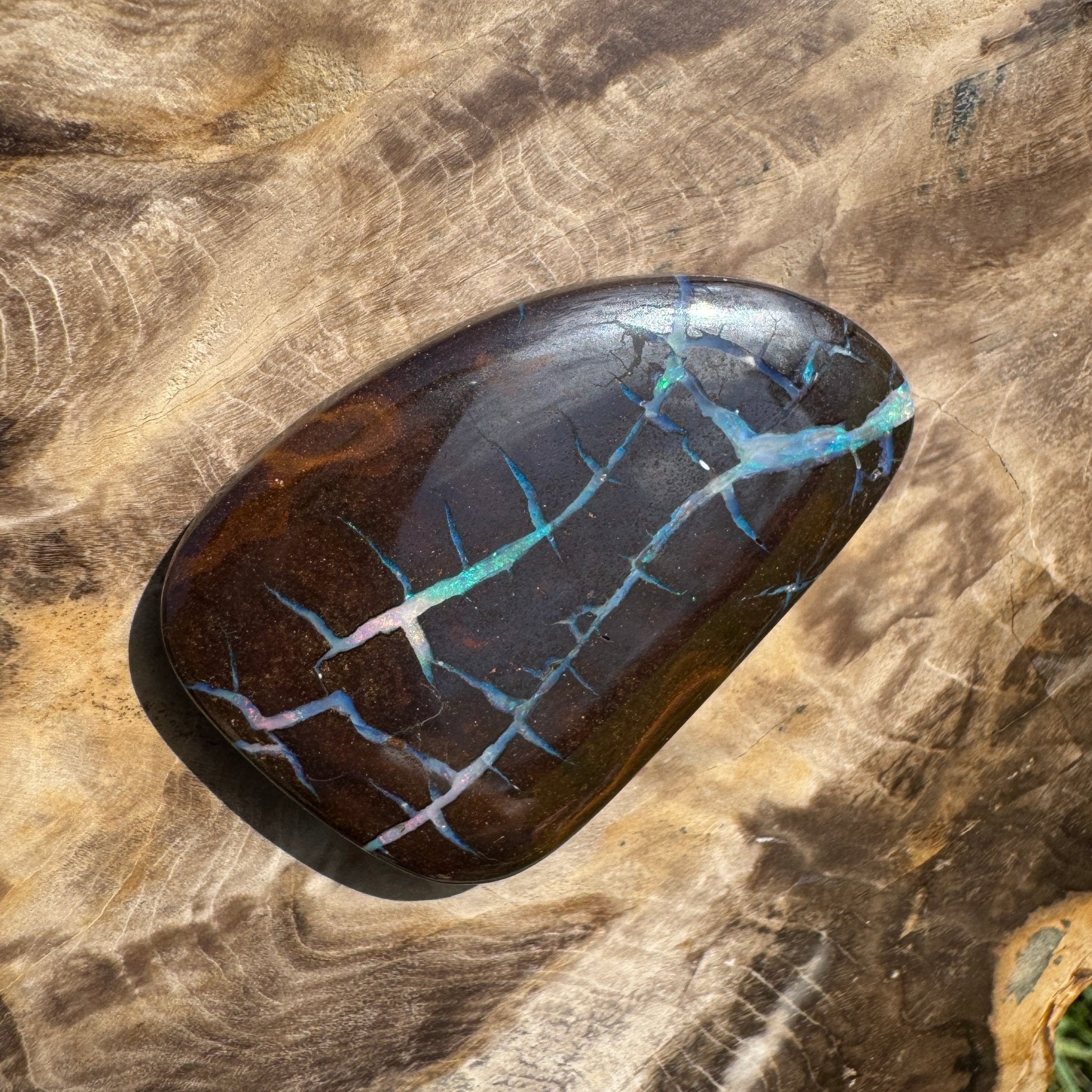 62.4ct Queensland Boulder Opal