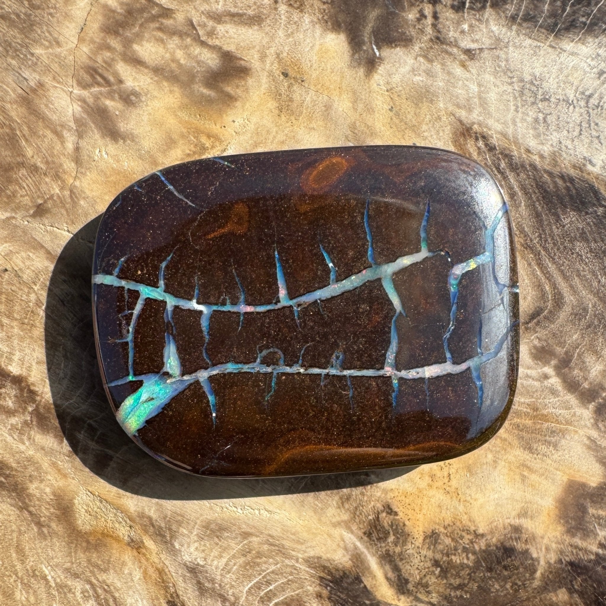 76ct Queensland Boulder Opal