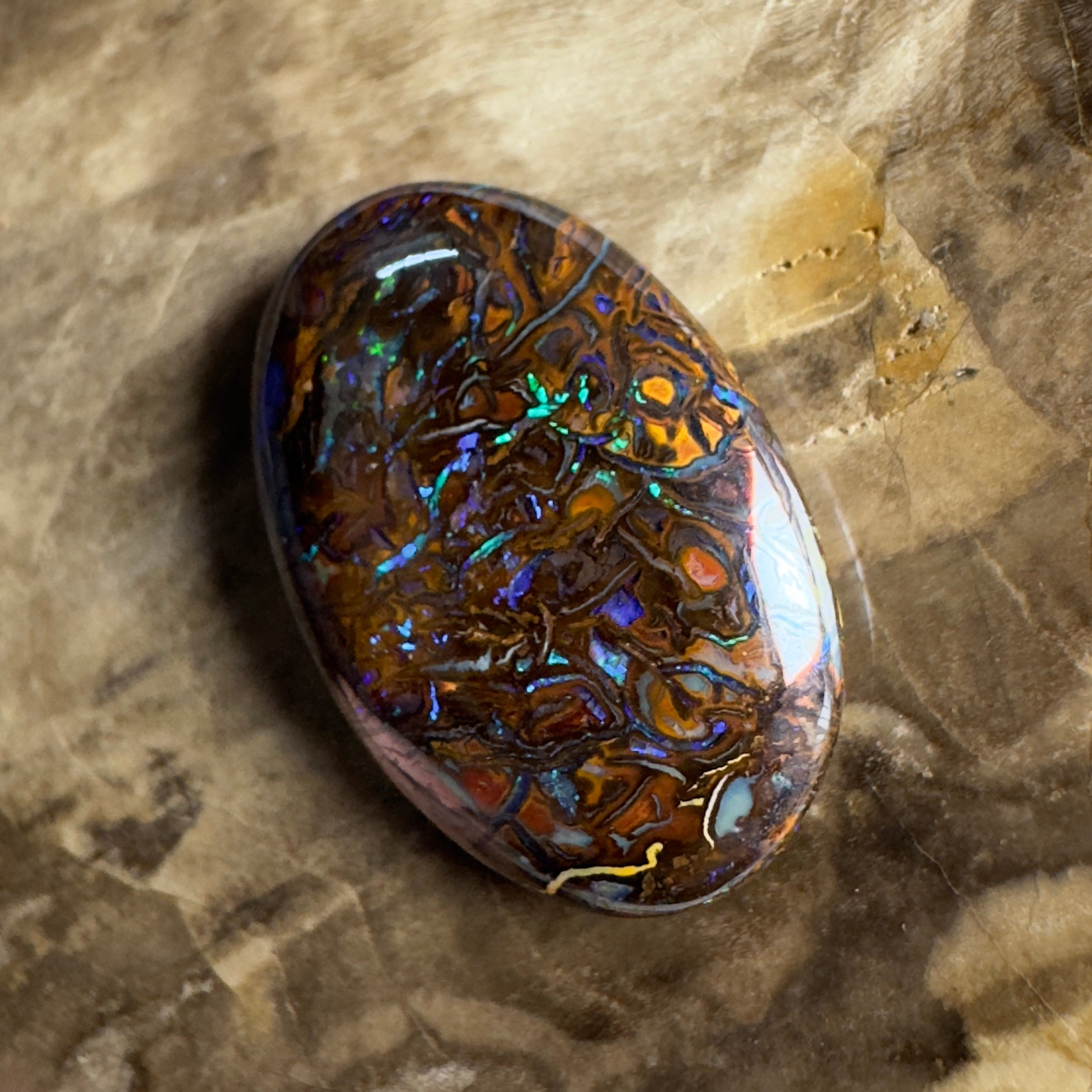 9.7ct Solid Queensland Boulder Opal