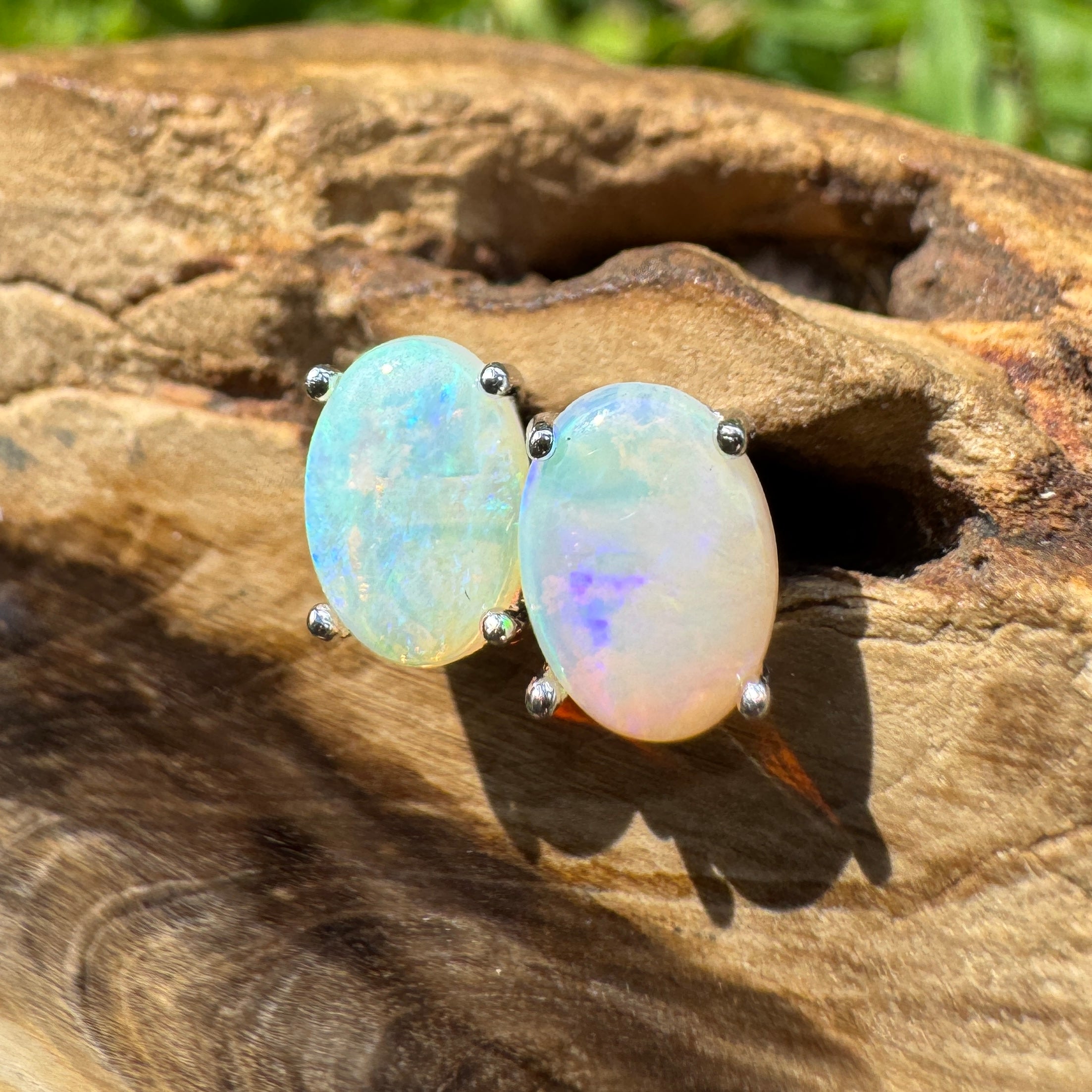 1ct Lightning Ridge Opal Earrings ~ 'Lord Howe Morning' | 925 Sterling Silver | Solid Australian Opal