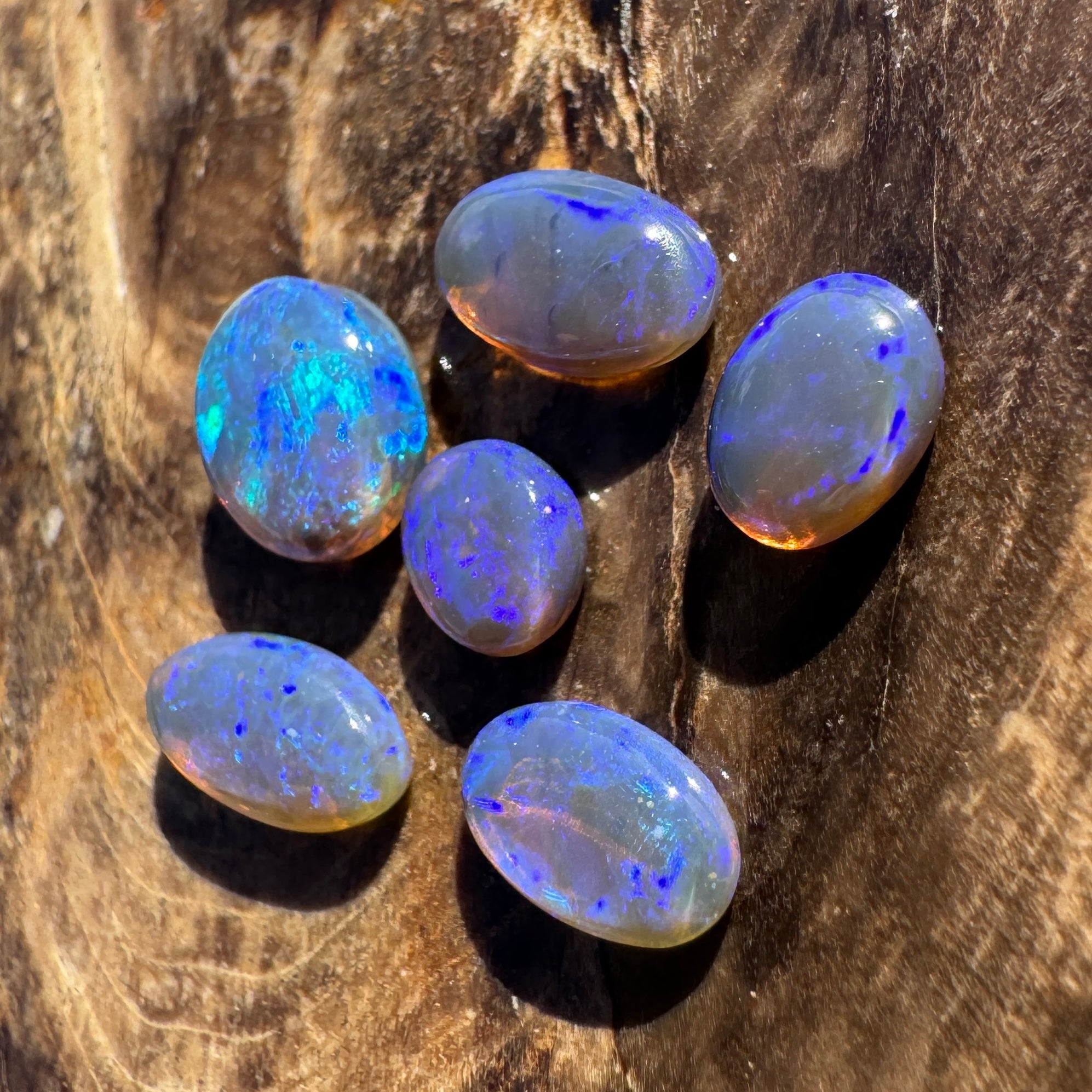 3.1ct Lightning Ridge Opal Parcel | Solid Australian Opal | Hand-Cut