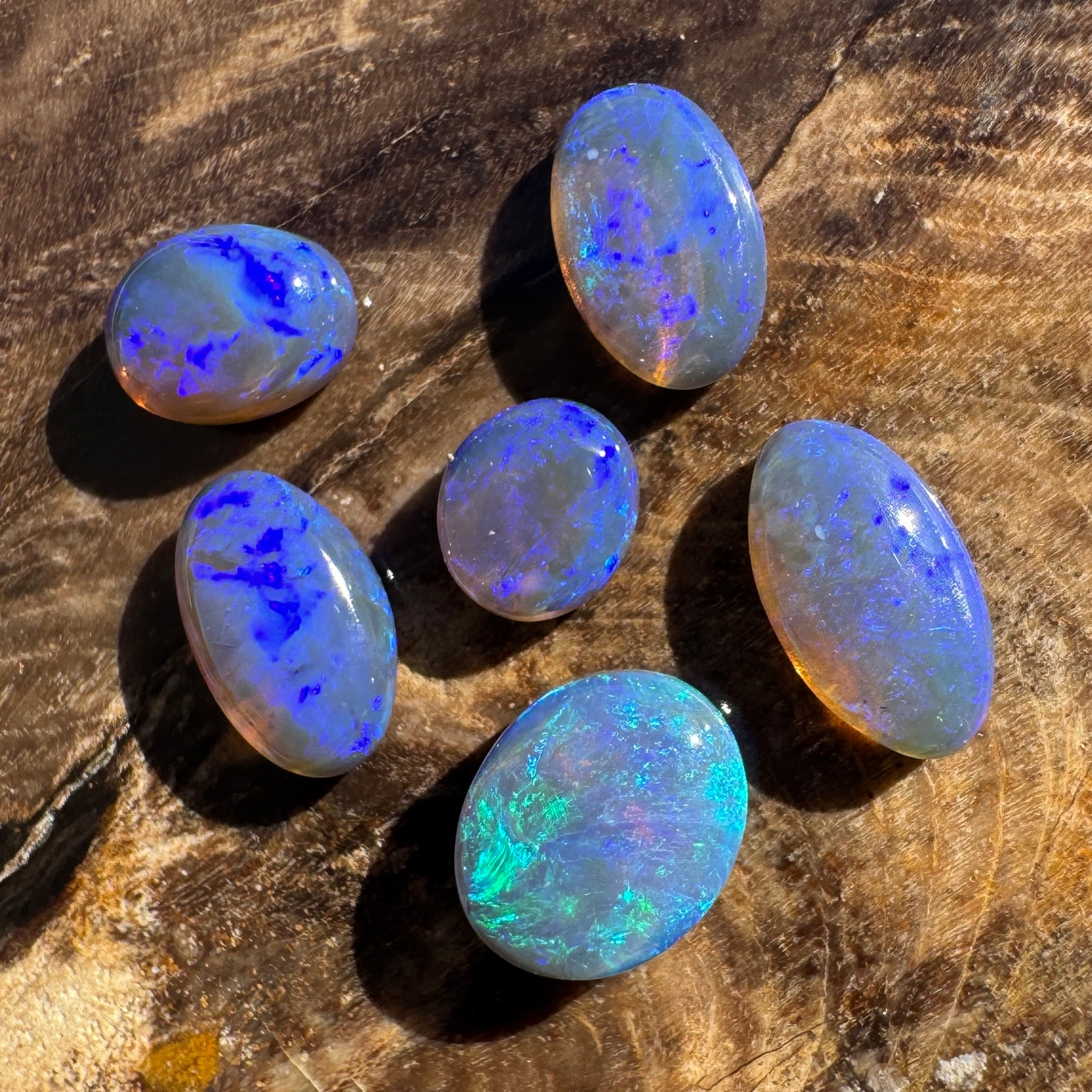 3.1ct Lightning Ridge Opal Parcel | Solid Australian Opal | Hand-Cut