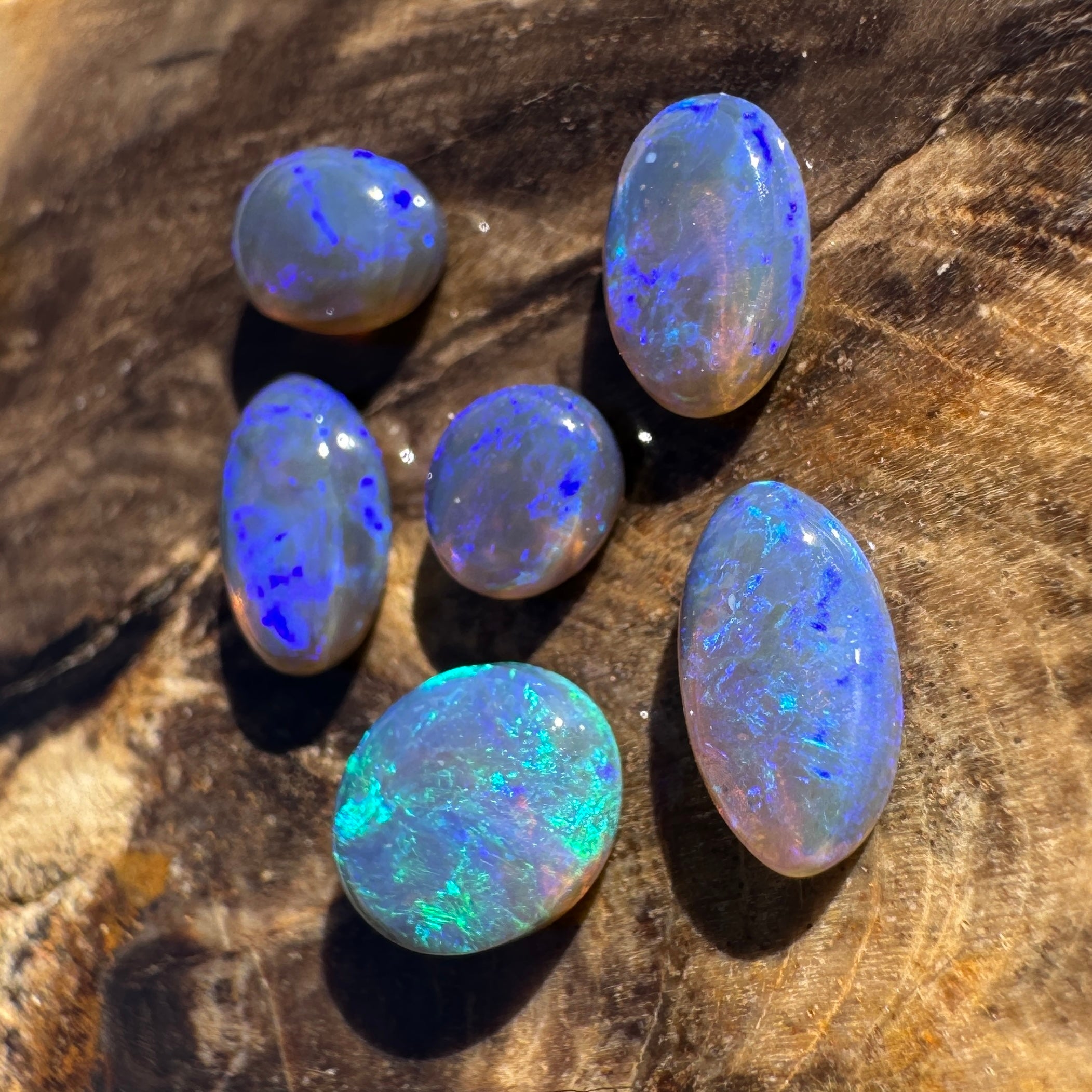 3.1ct Lightning Ridge Opal Parcel | Solid Australian Opal | Hand-Cut