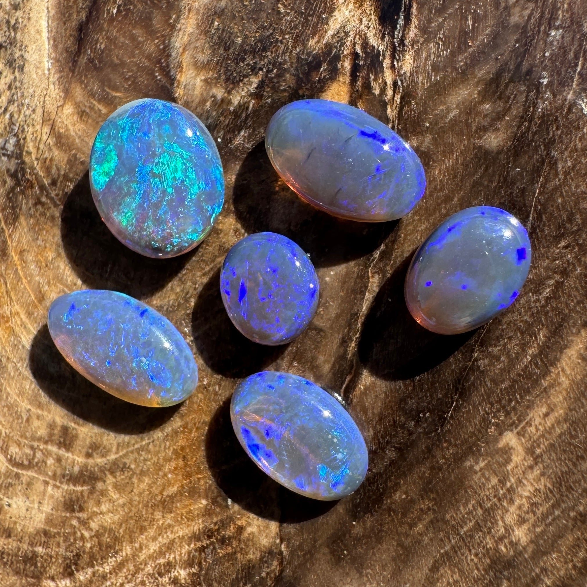 3.1ct Lightning Ridge Opal Parcel | Solid Australian Opal | Hand-Cut