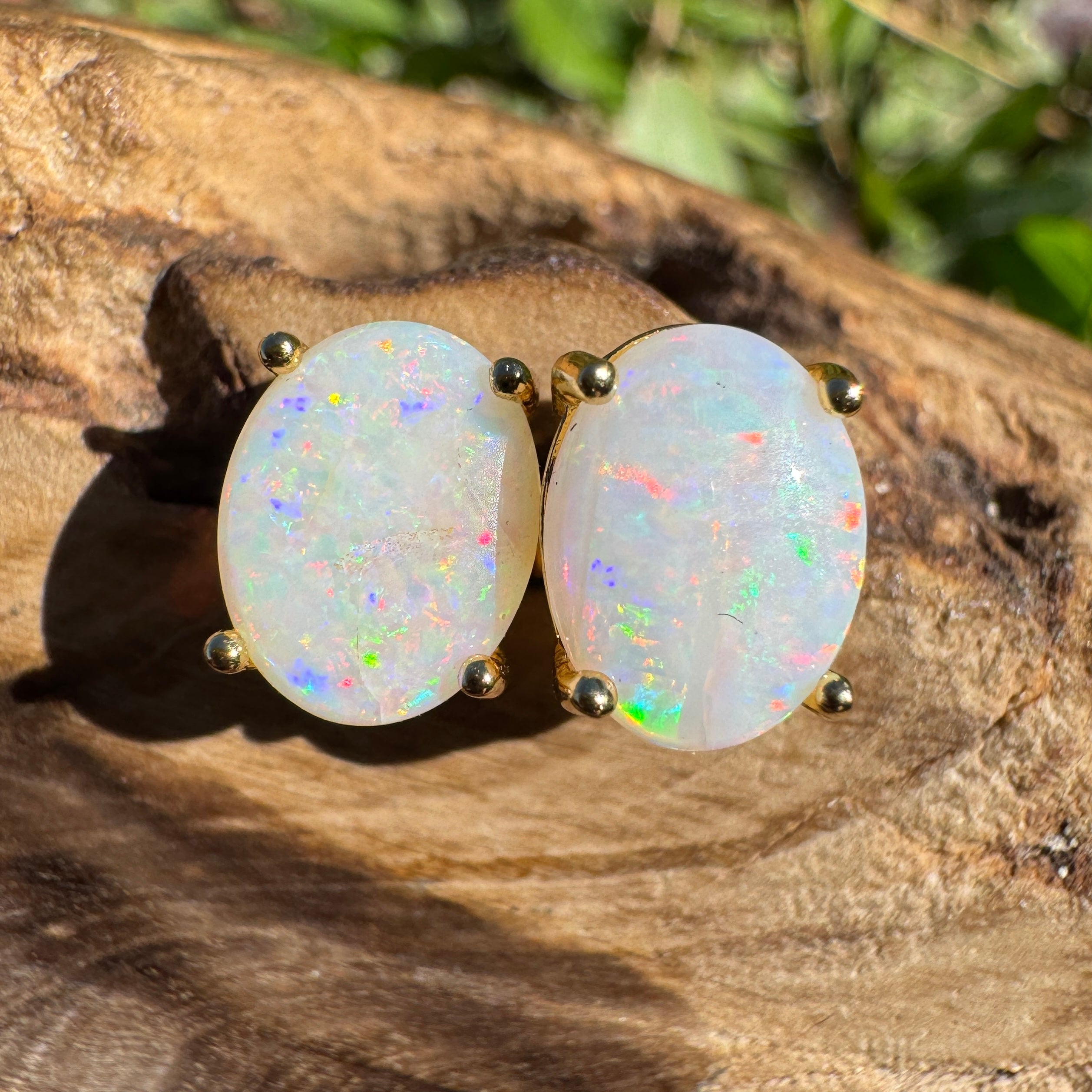 1.6ct Coober Pedy Opal Earrings ~ 'Burleigh Heads Rainbow' | Yellow Gold Coated 925 Sterling Silver | Solid Australian Opal