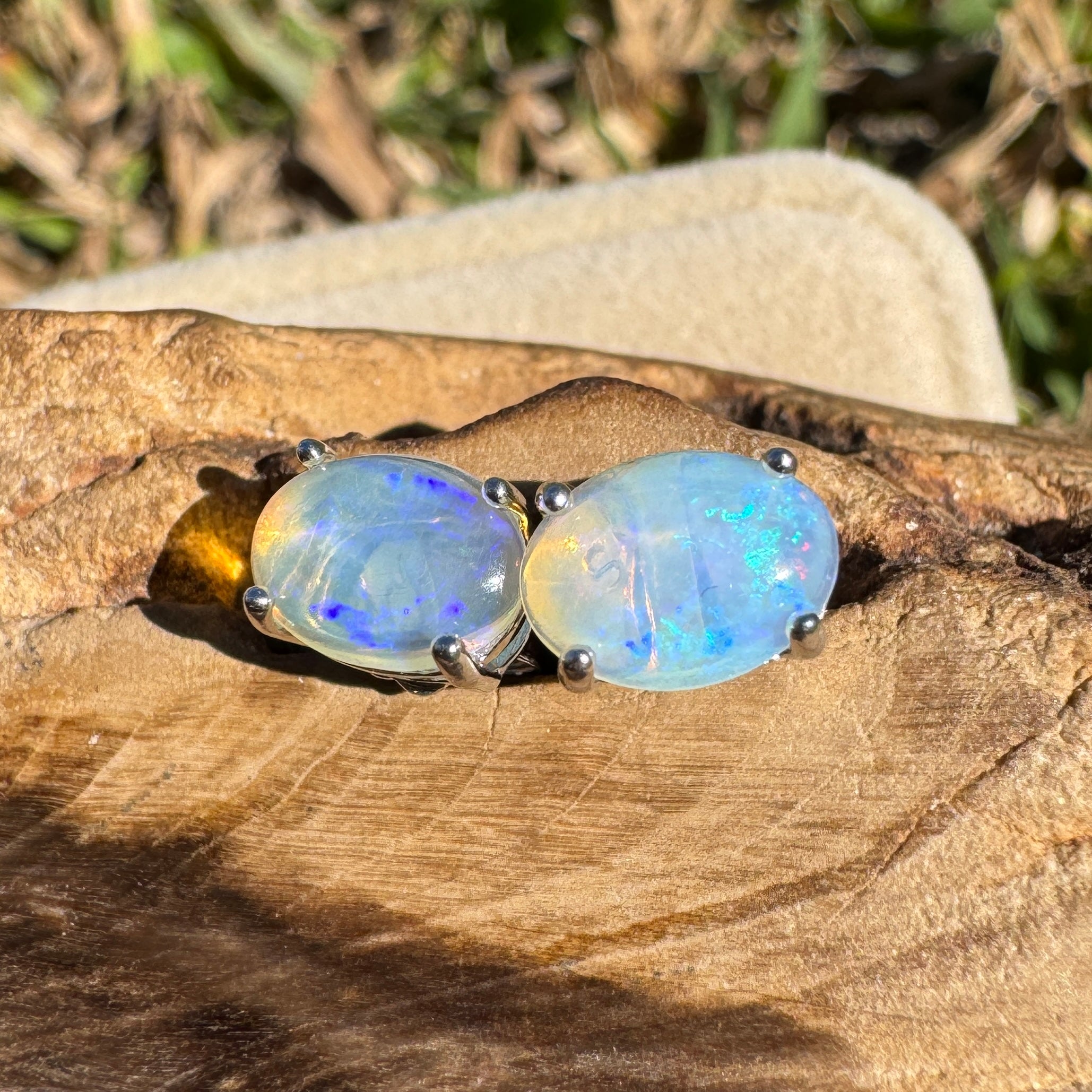 1ct Lightning Ridge Opal Earrings ~ 'Lord Howe Drops' | 925 Sterling Silver | Solid Australian Opal