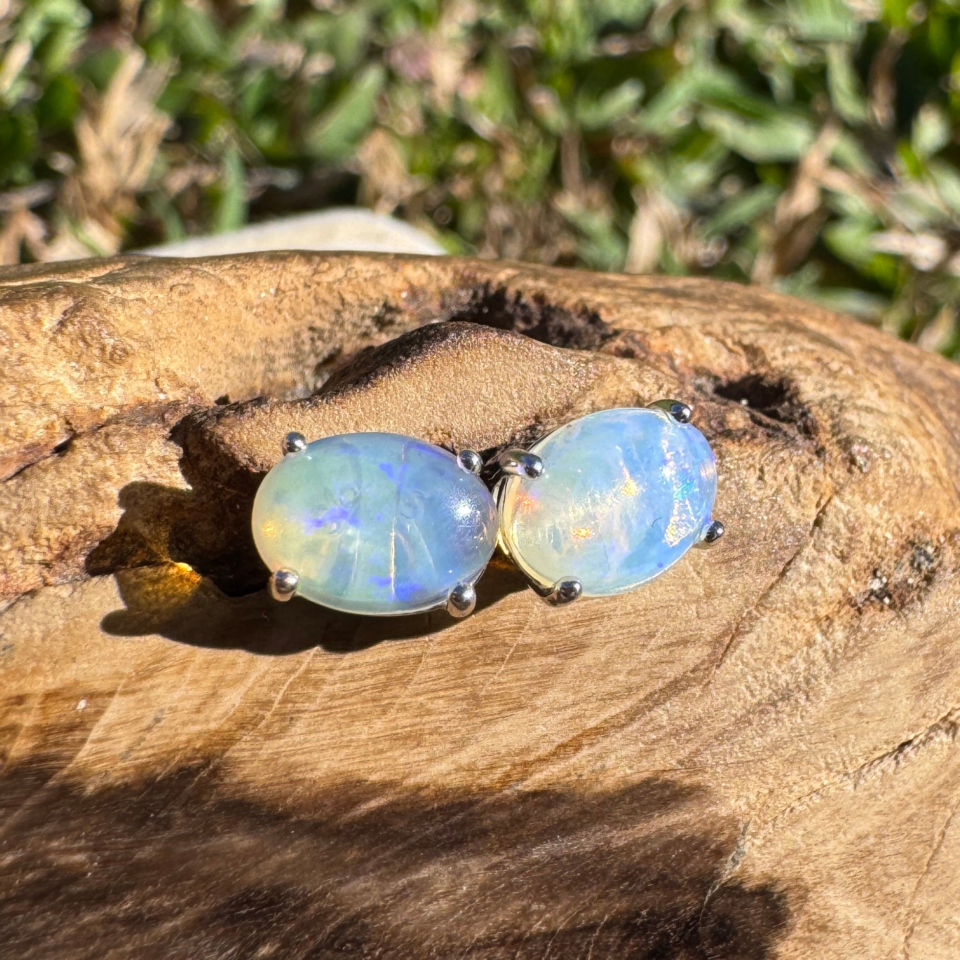 1ct Lightning Ridge Opal Earrings ~ 'Lord Howe Drops' | 925 Sterling Silver | Solid Australian Opal