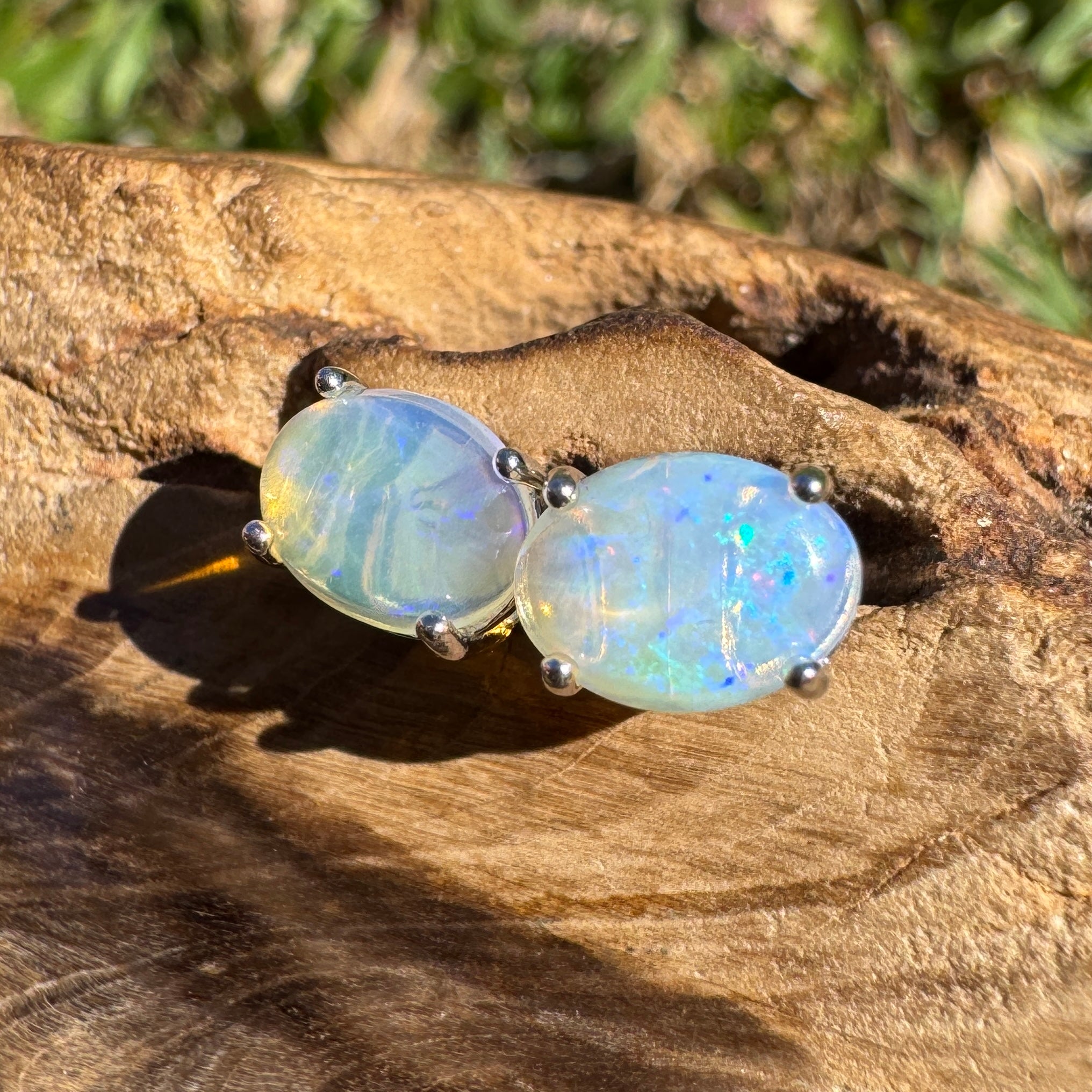 1ct Lightning Ridge Opal Earrings ~ 'Lord Howe Drops' | 925 Sterling Silver | Solid Australian Opal