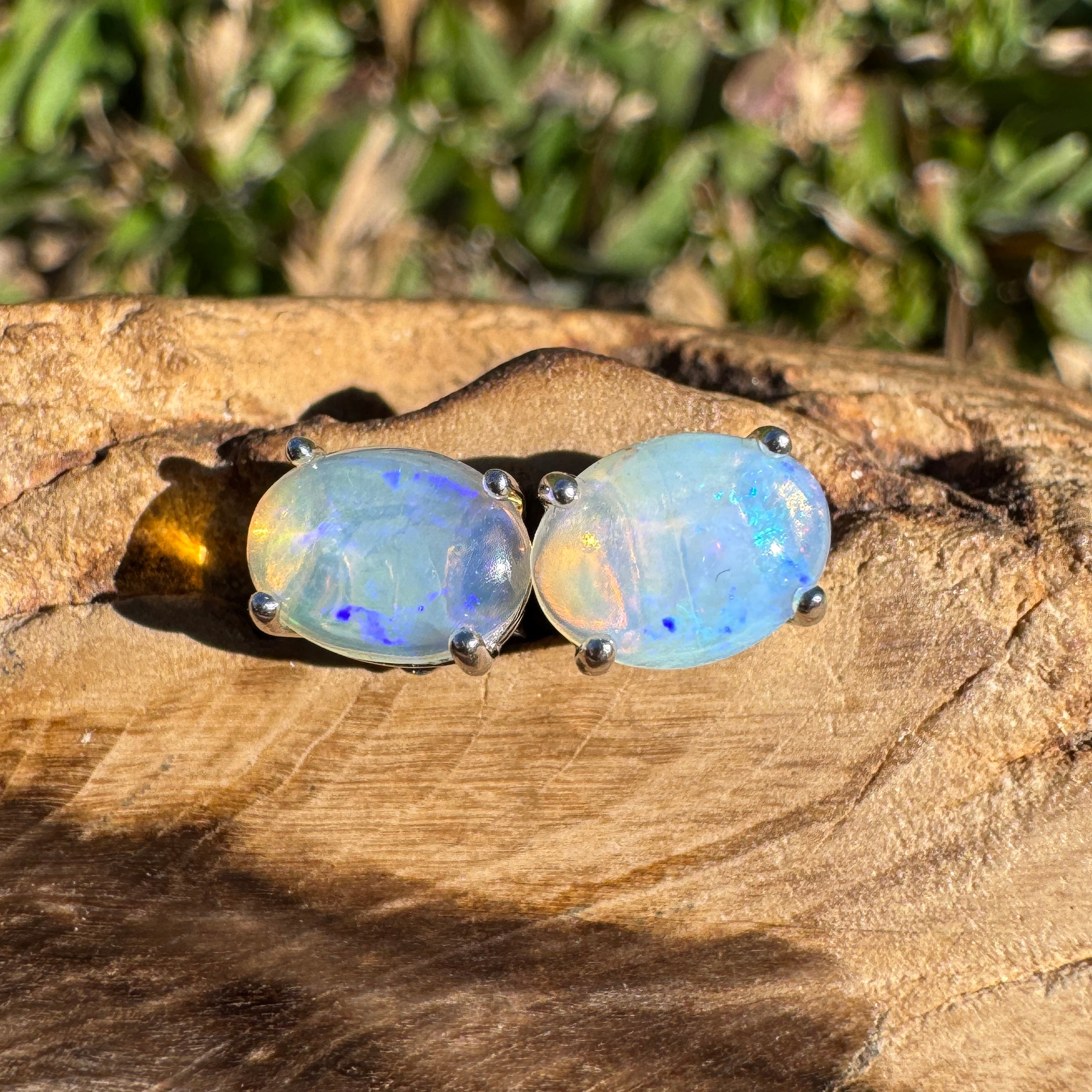1ct Lightning Ridge Opal Earrings ~ 'Lord Howe Drops' | 925 Sterling Silver | Solid Australian Opal