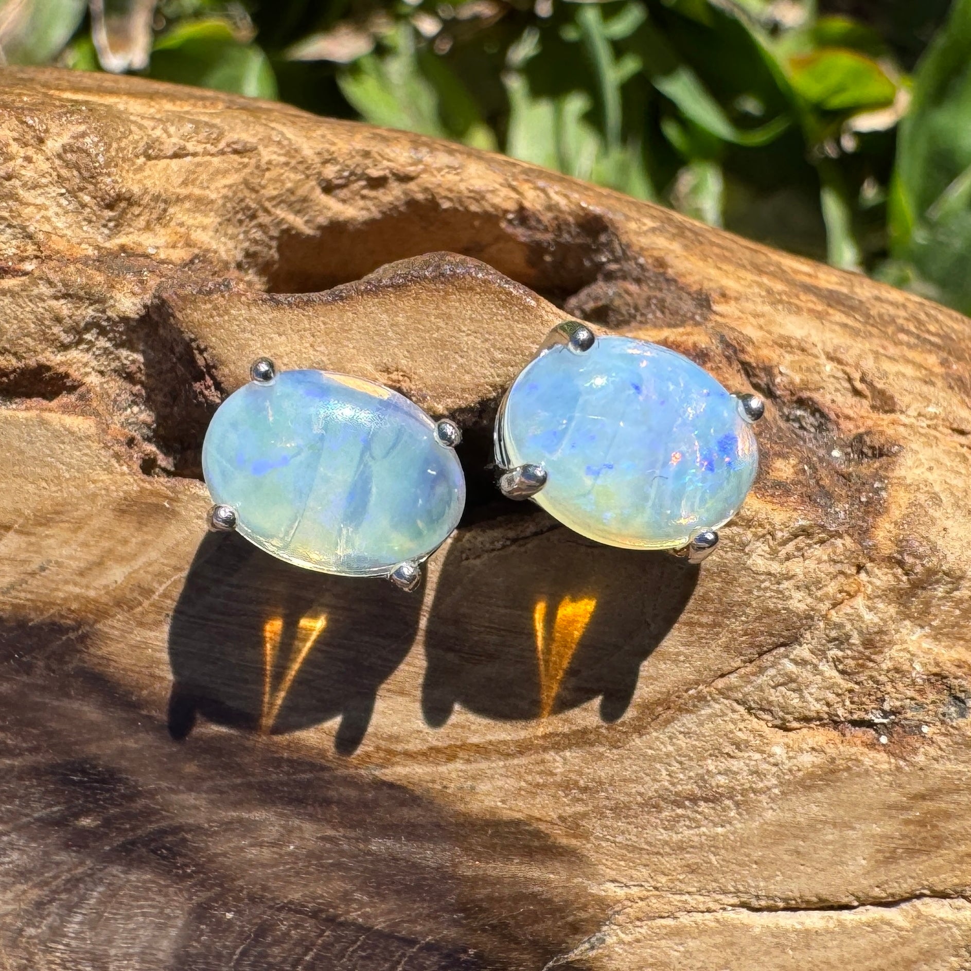 1ct Lightning Ridge Opal Earrings ~ 'Lord Howe Drops' | 925 Sterling Silver | Solid Australian Opal