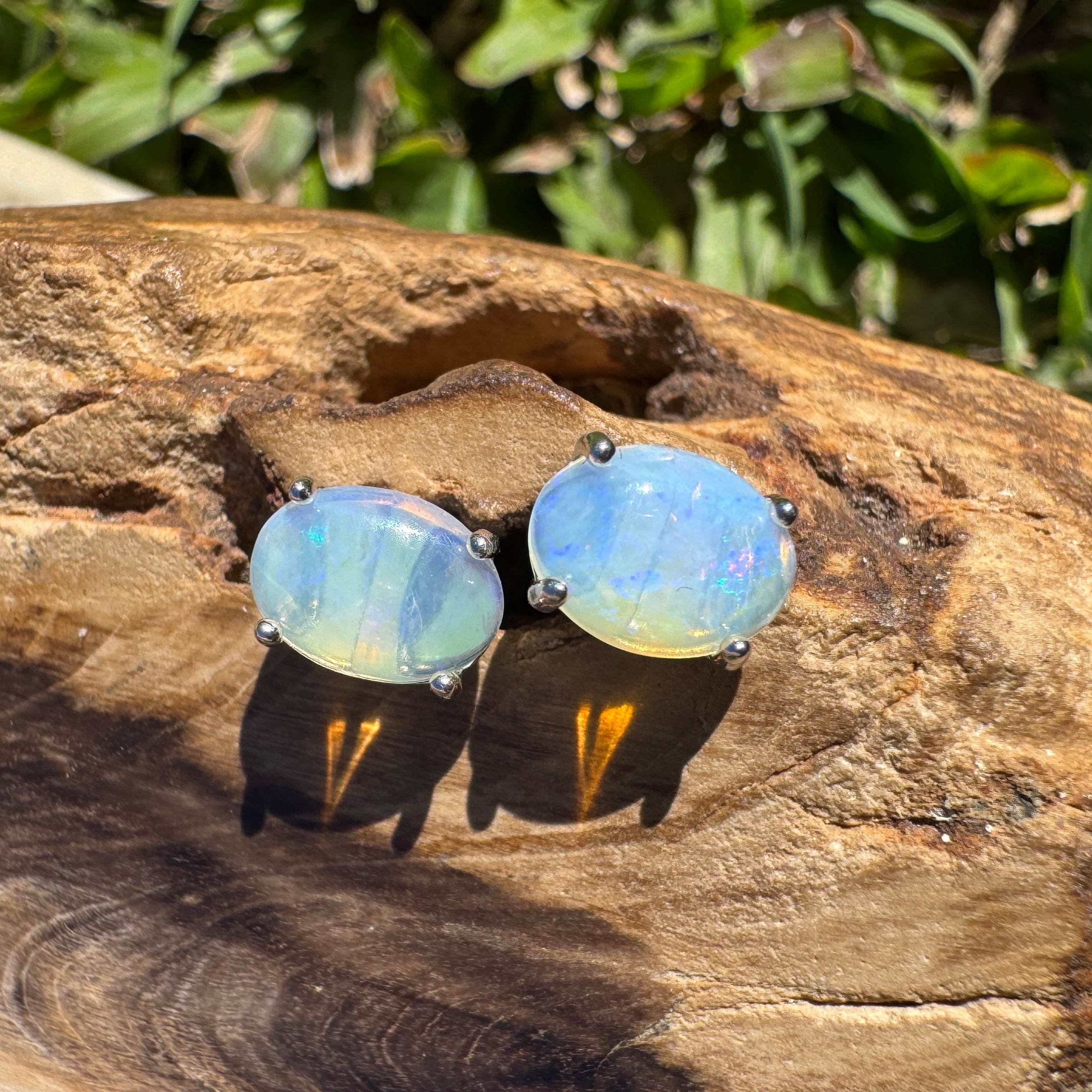 1ct Lightning Ridge Opal Earrings ~ 'Lord Howe Drops' | 925 Sterling Silver | Solid Australian Opal