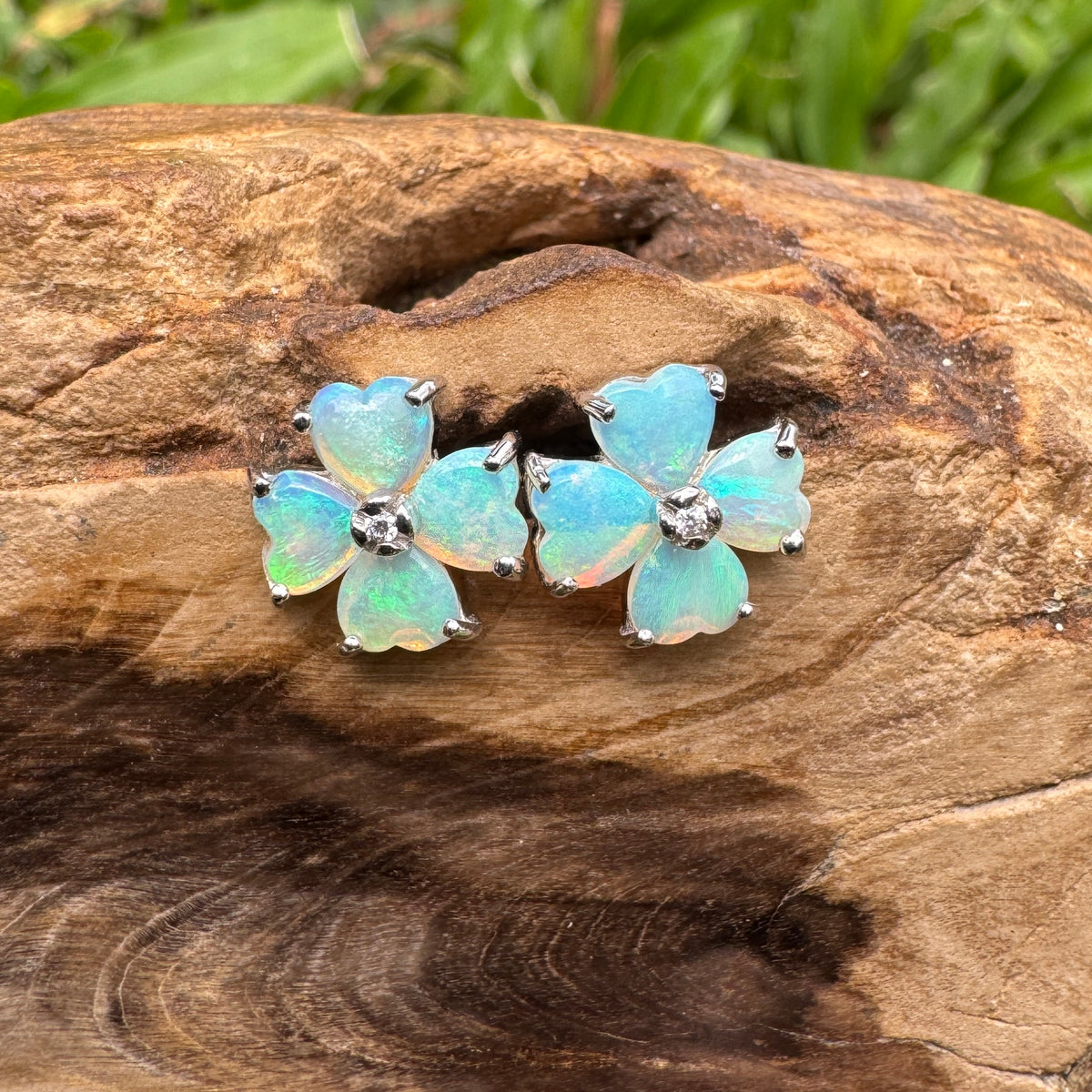 1.6ct Coober Pedy Crystal Opal Stud Earrings ~ 'Wategos Blue' | 925 Sterling Silver | Solid Australian Opal