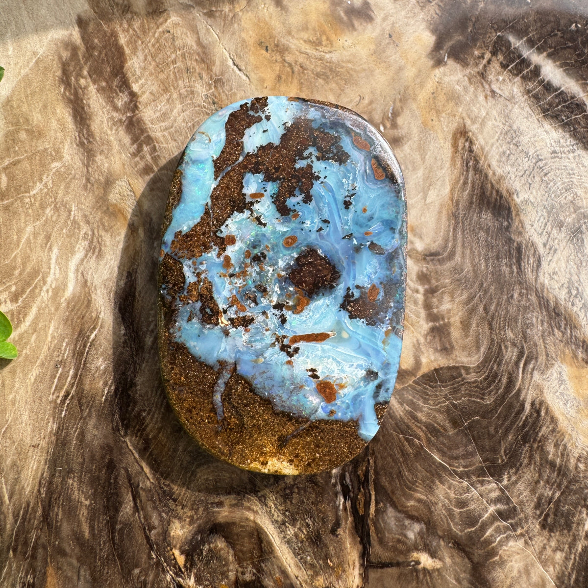 113ct Queensland Boulder Opal | Solid Australian Opal | Hand-Cut